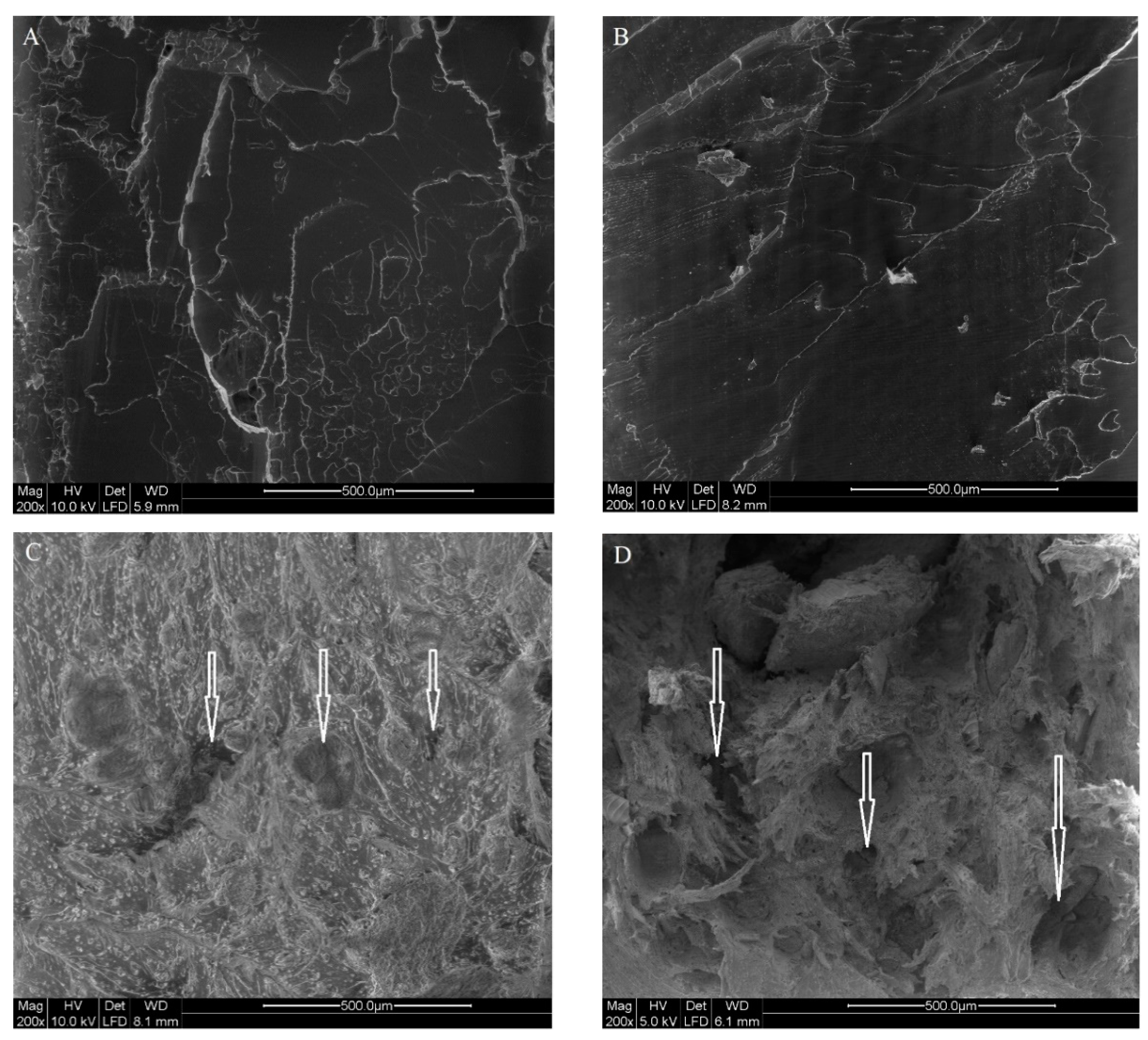 Polymers 14 01738 g005 550