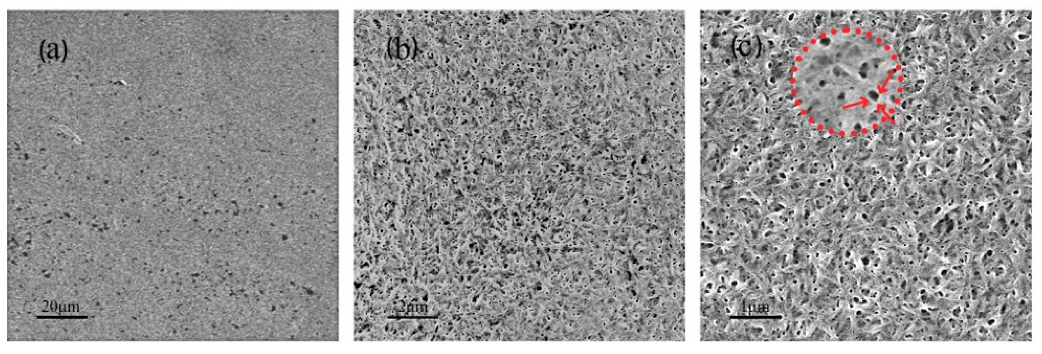 Polymers 14 01746 g001 Polymers 14 01746 g001