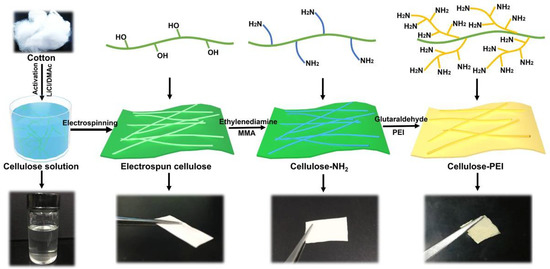 Polyethylenimine Functionalized Nanofiber Nonwovens Electrospun from Cotton Cellulose for Wound Dressing with High Drug Loading and Sustained Release Properties