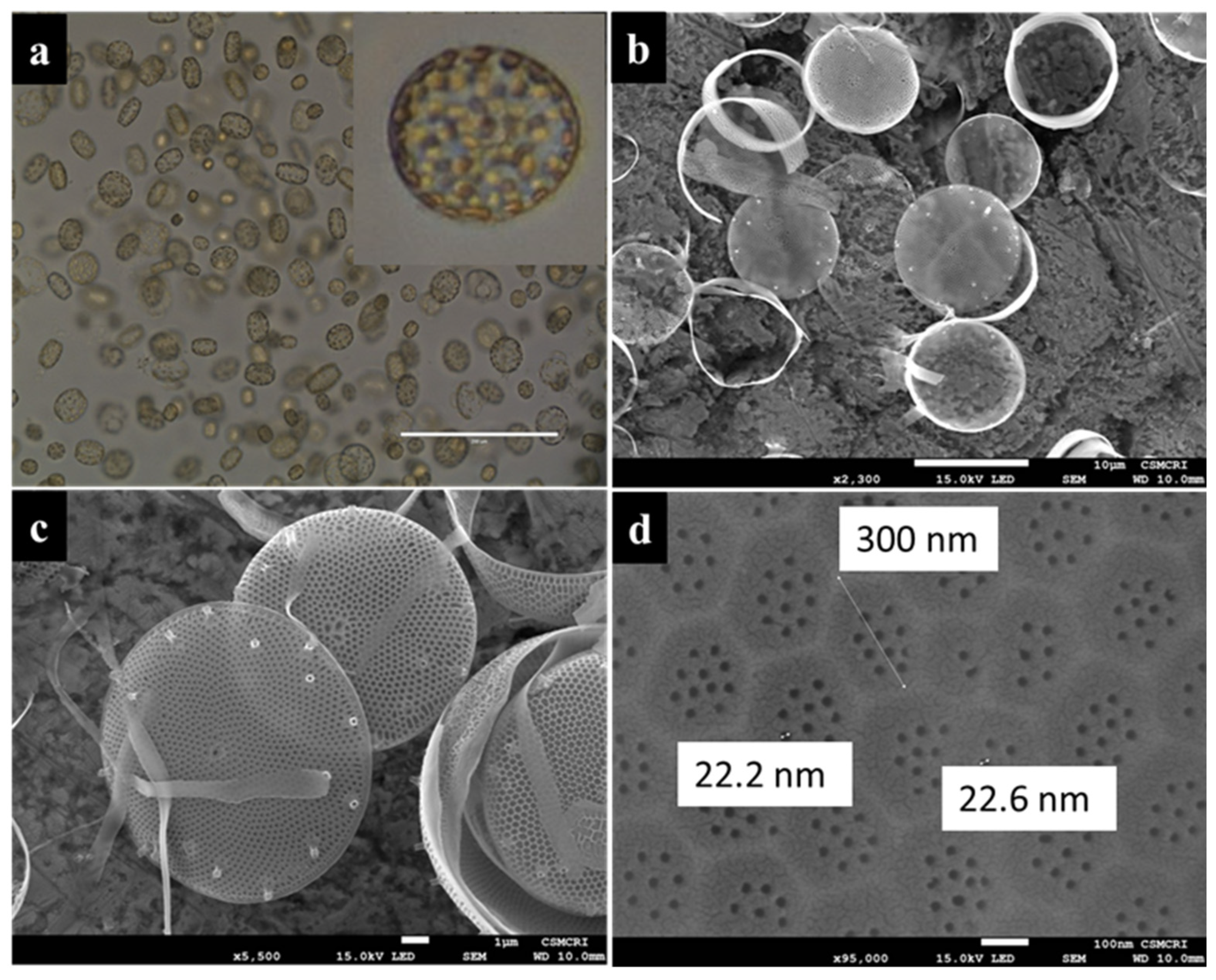 Polymers 14 01750 g002