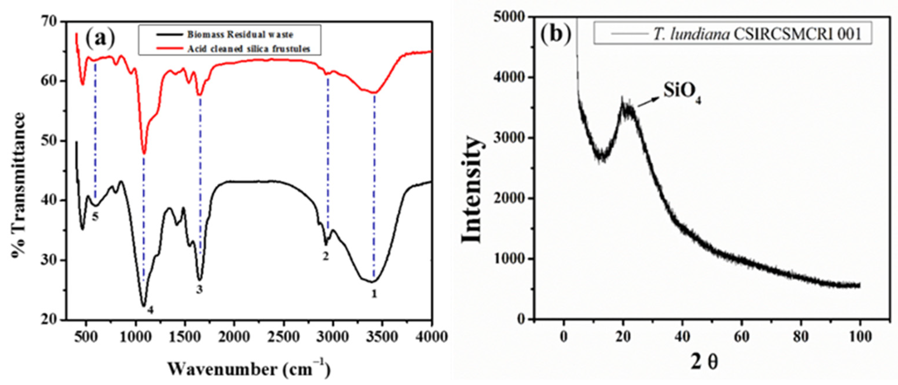 Polymers 14 01750 g003