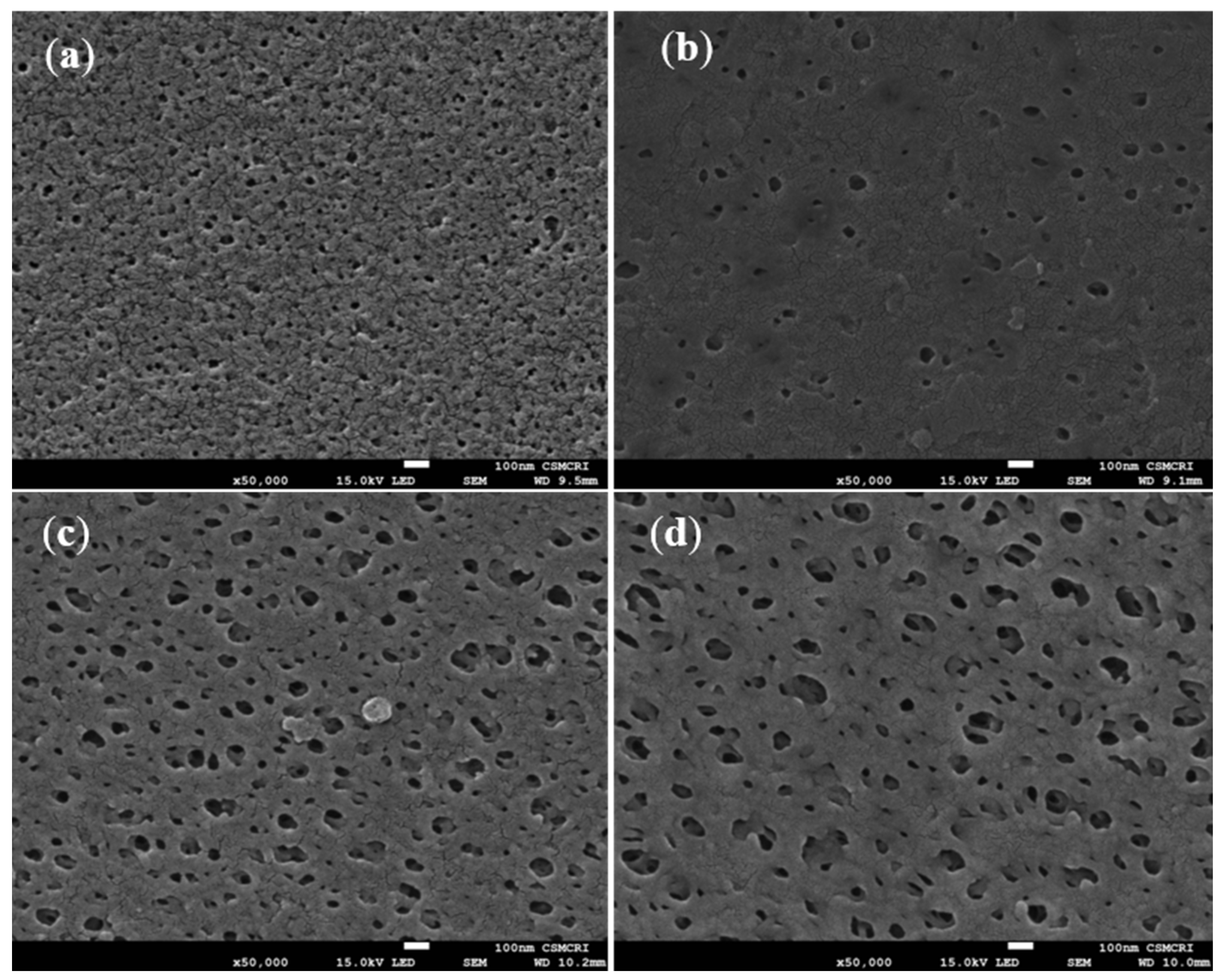 Polymers 14 01750 g007