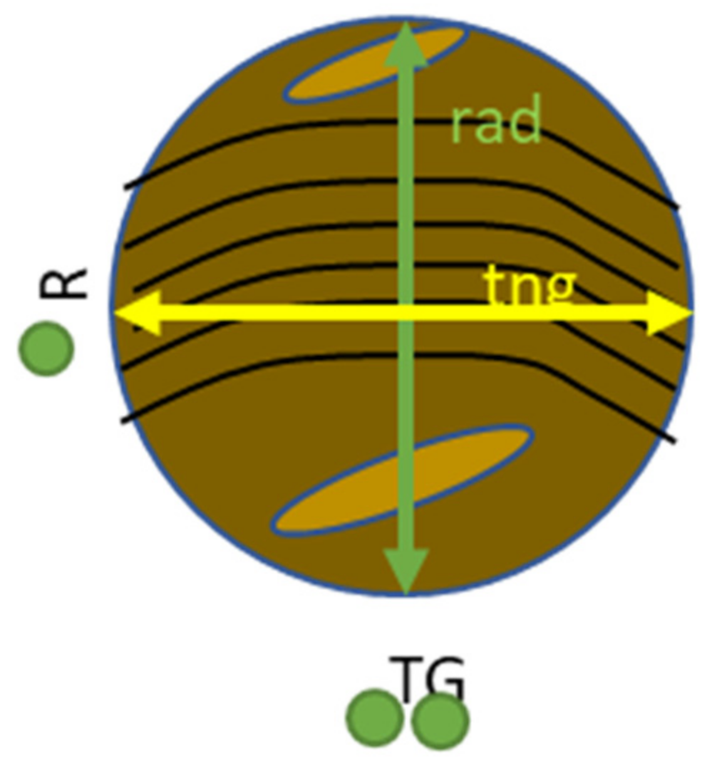Polymers 14 01757 g013 550