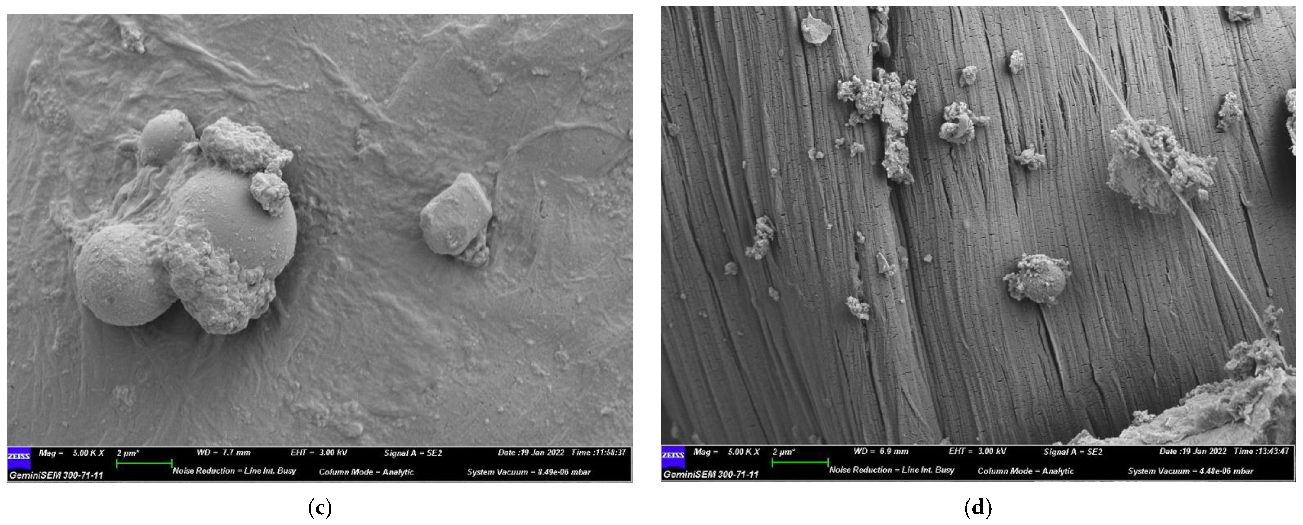 Polymers 14 01760 g011b