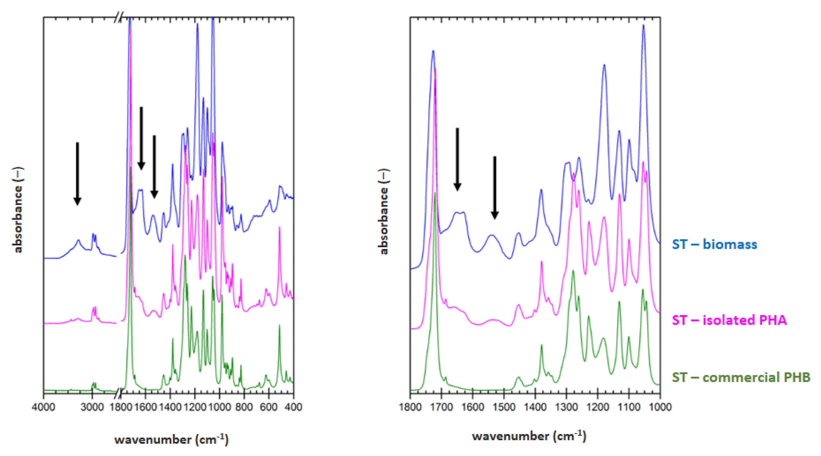 Polymers 14 01761 g002 550