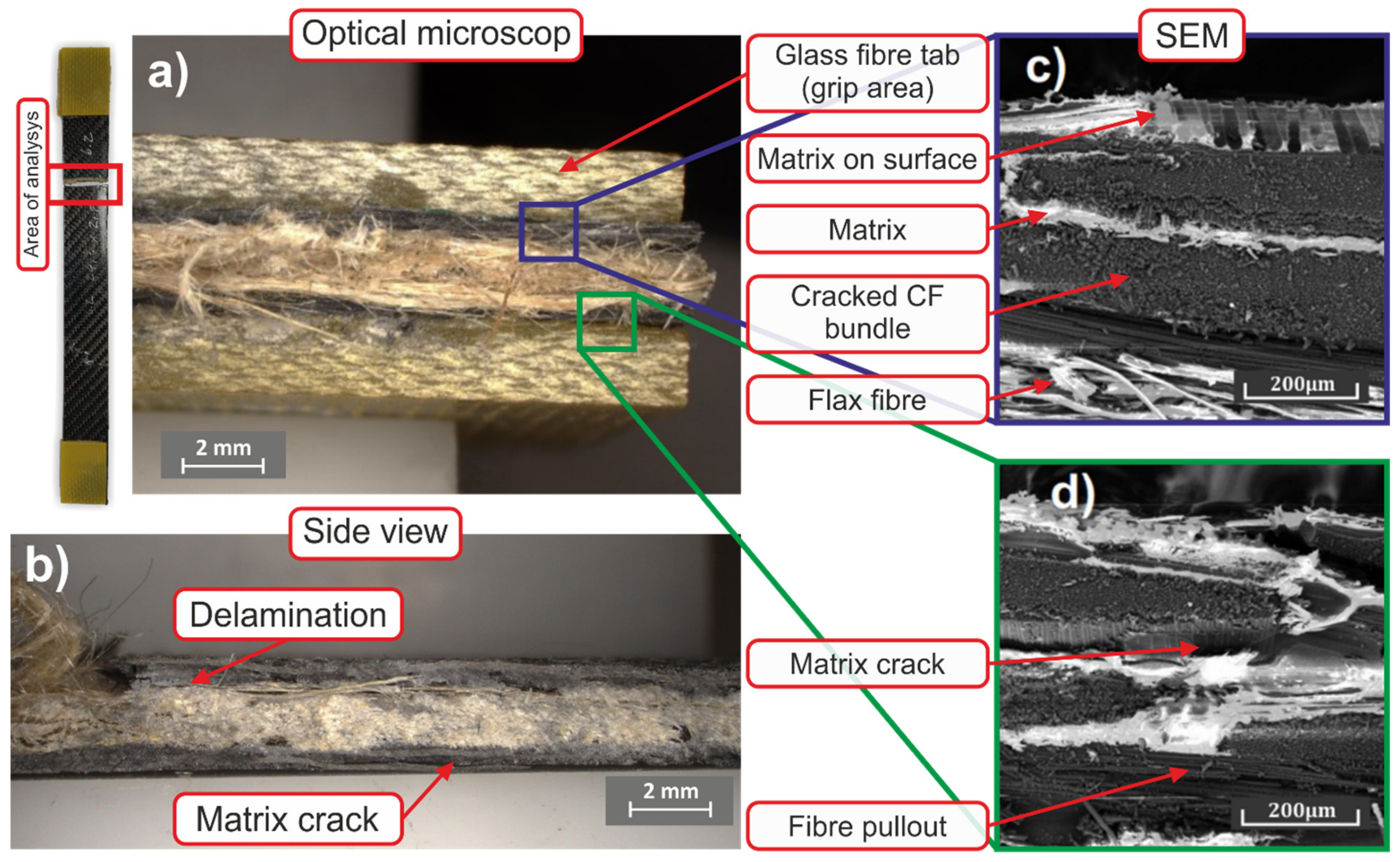 Polymers 14 01765 g014 550