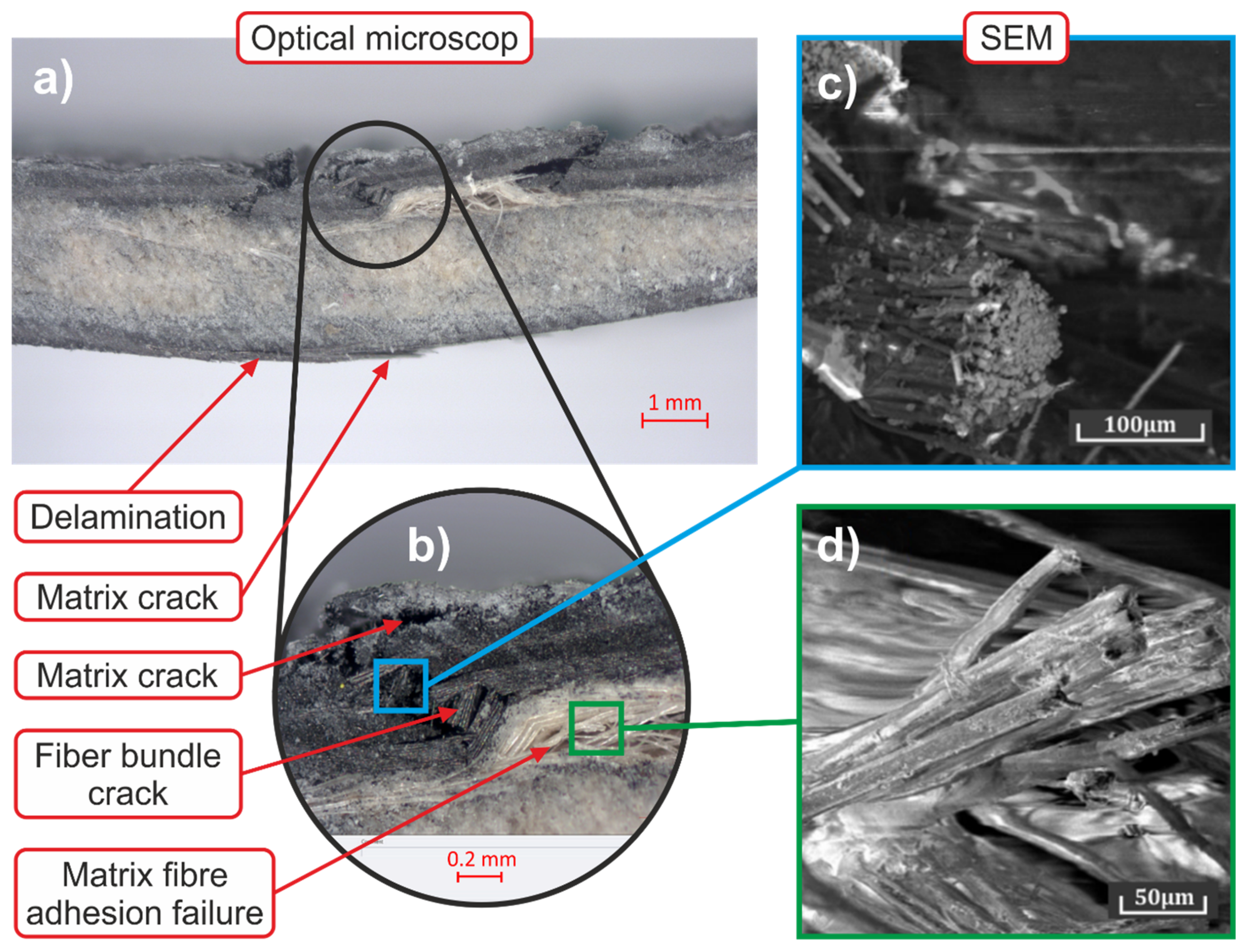 Polymers 14 01765 g015 550