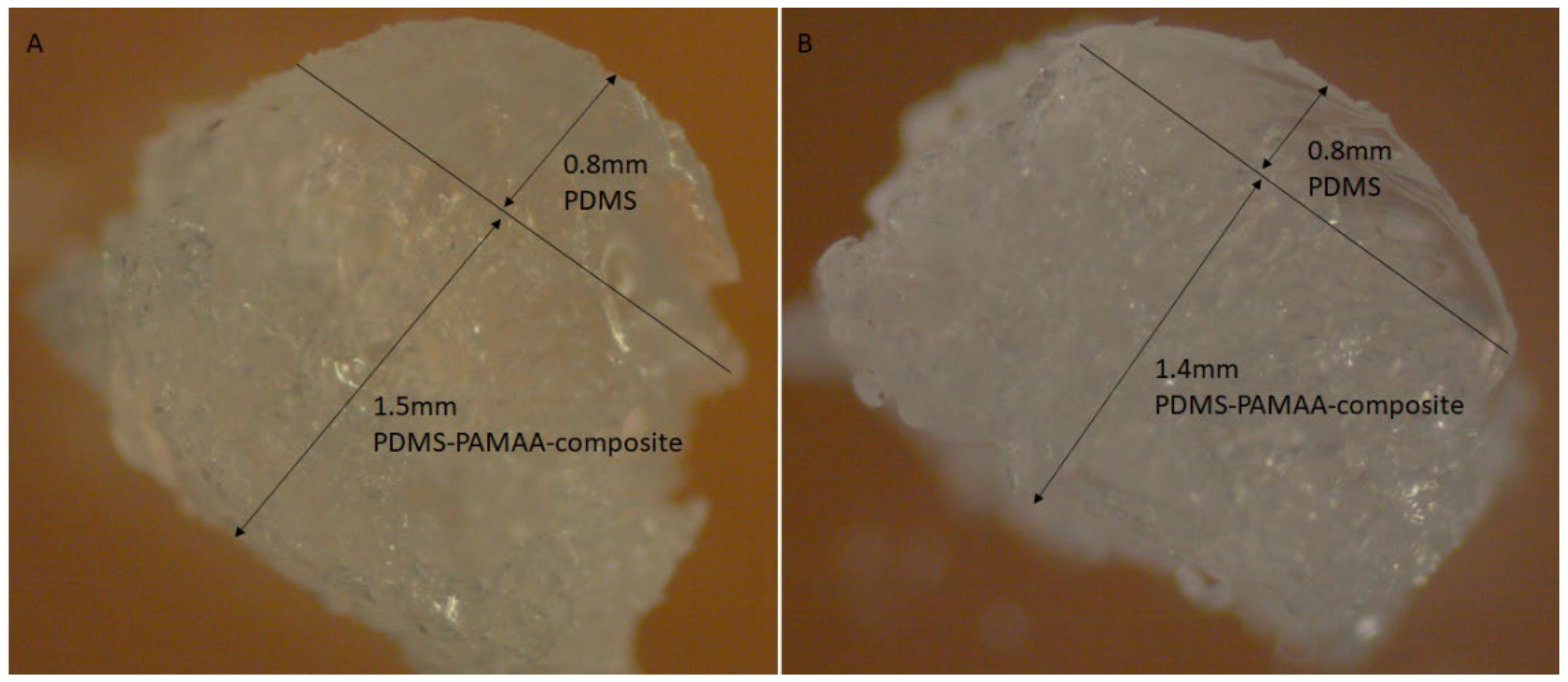 Polymers 14 01766 g009 550