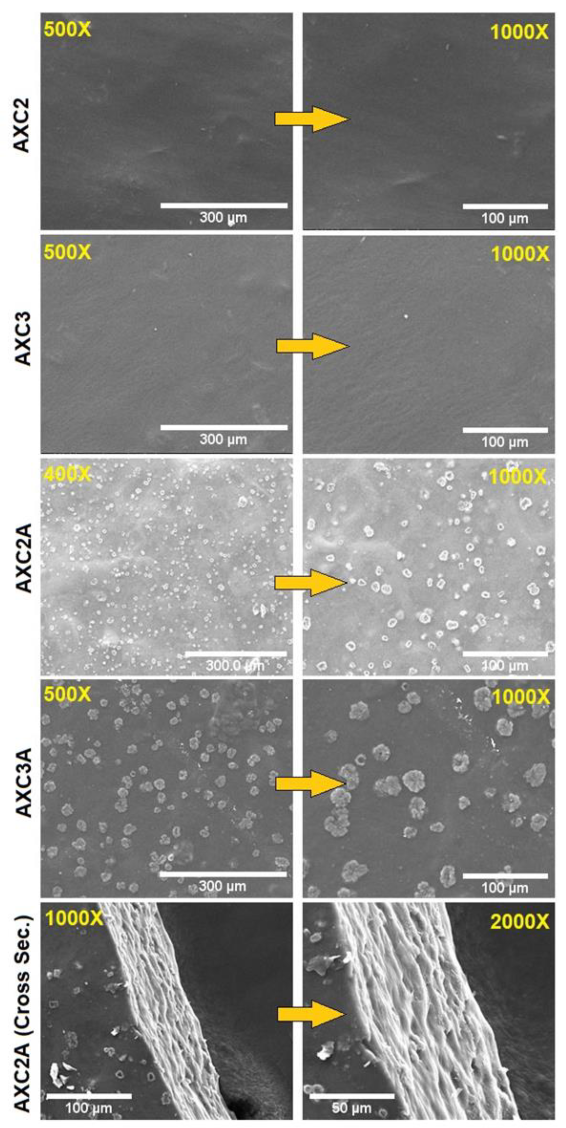 Polymers 14 01769 g001