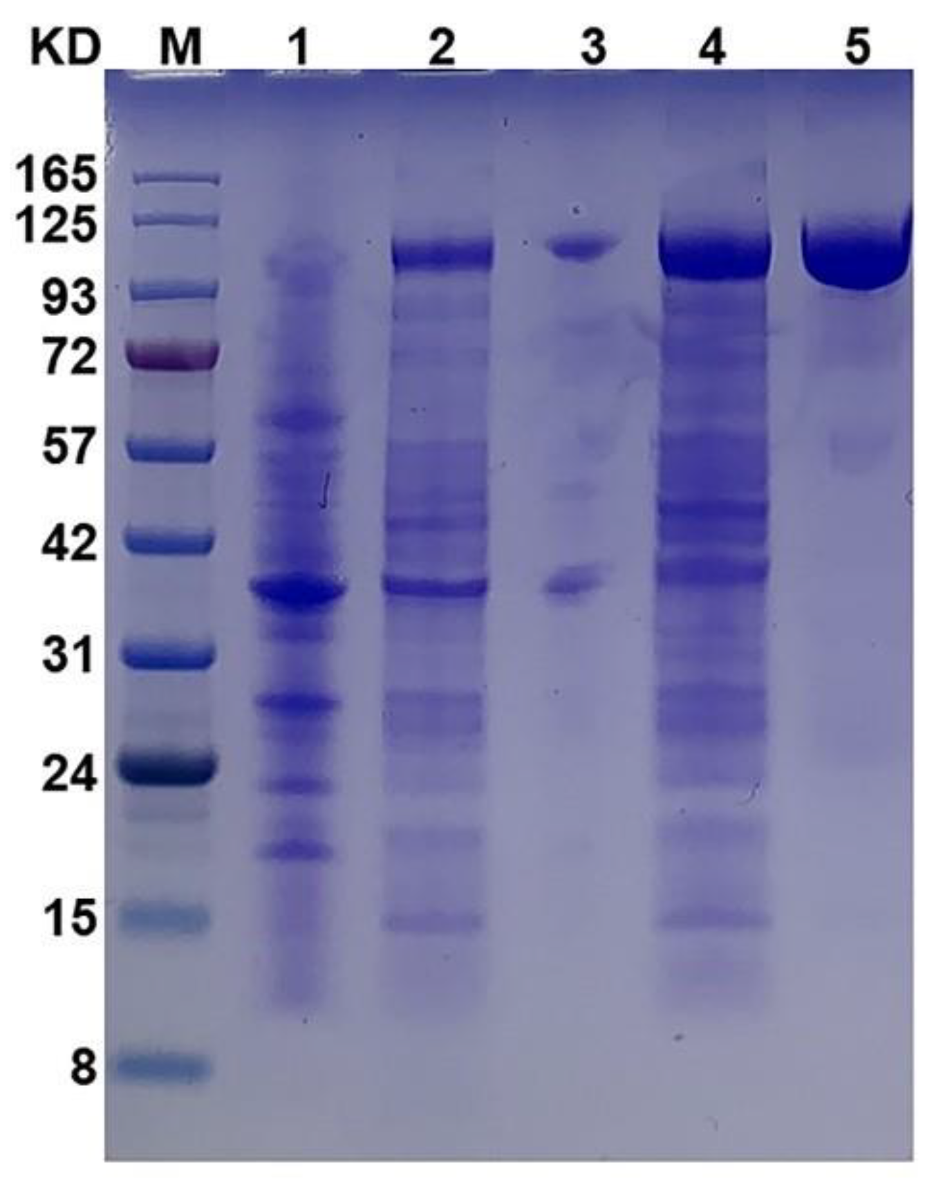 Polymers 14 01770 g001
