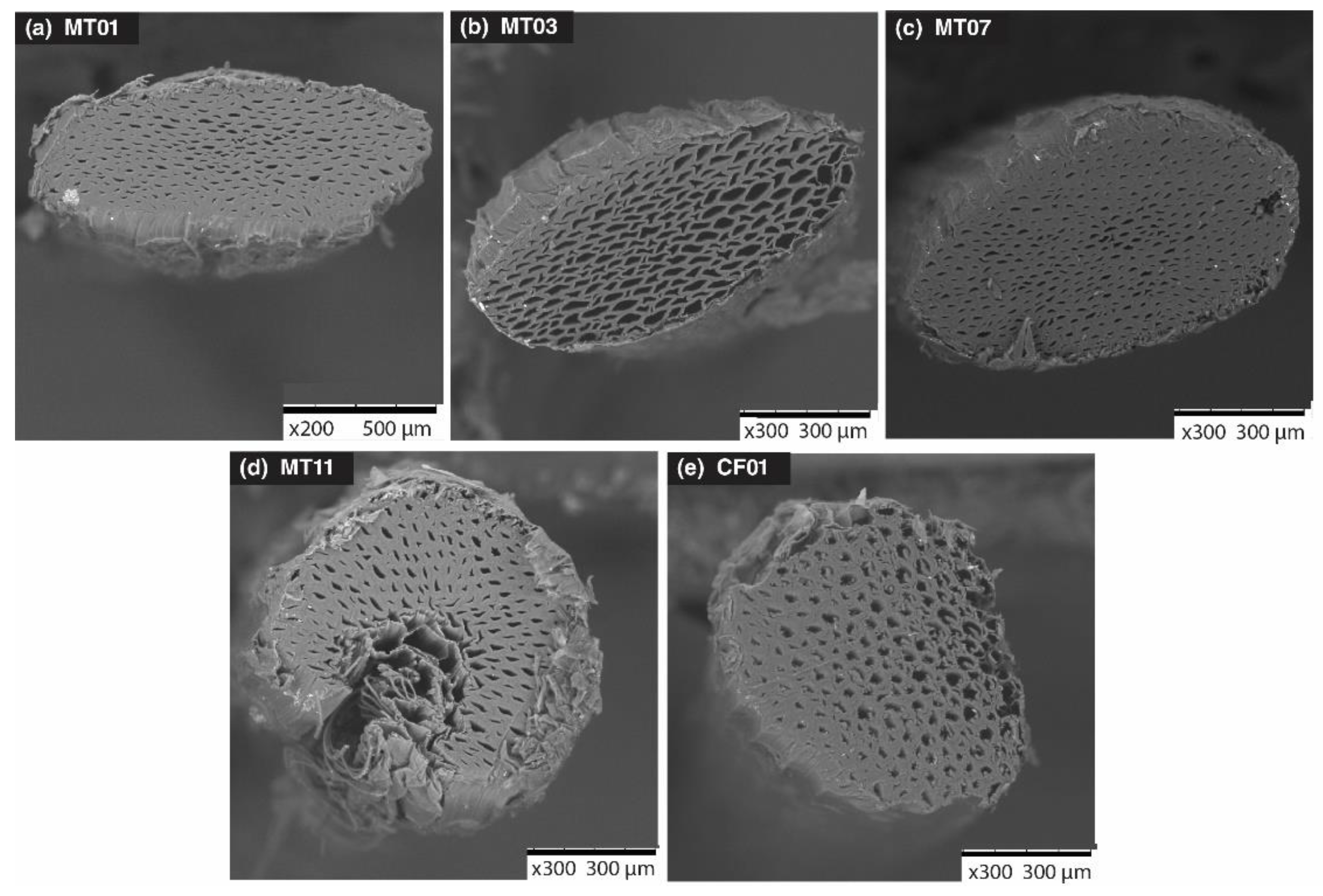 Polymers 14 01772 g001