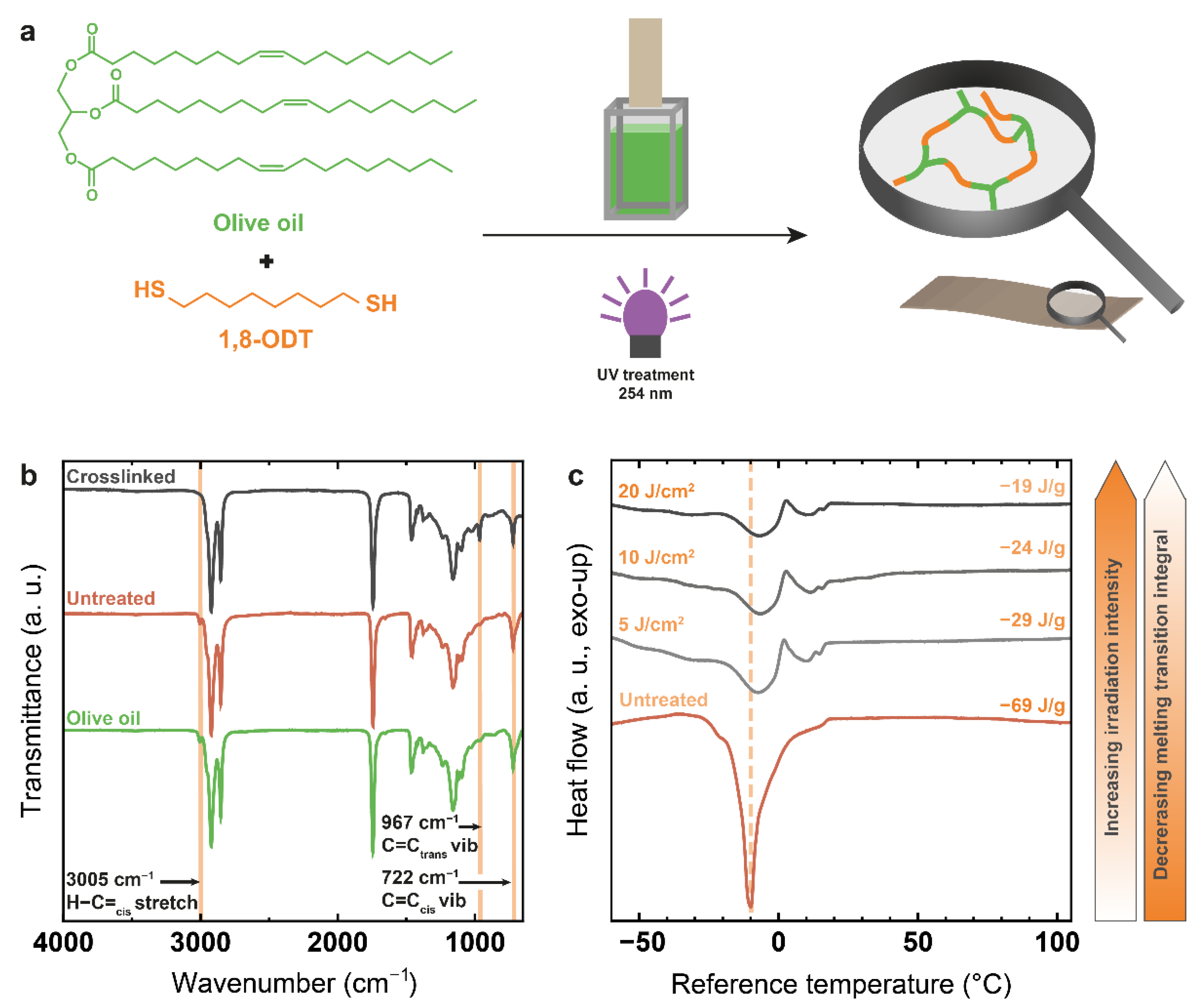 Polymers 14 01773 g004