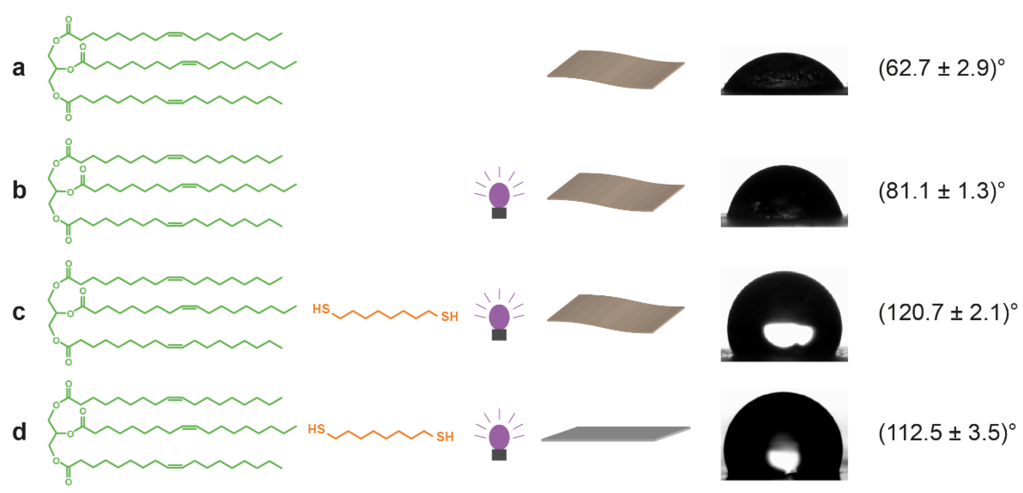 Polymers 14 01773 g006