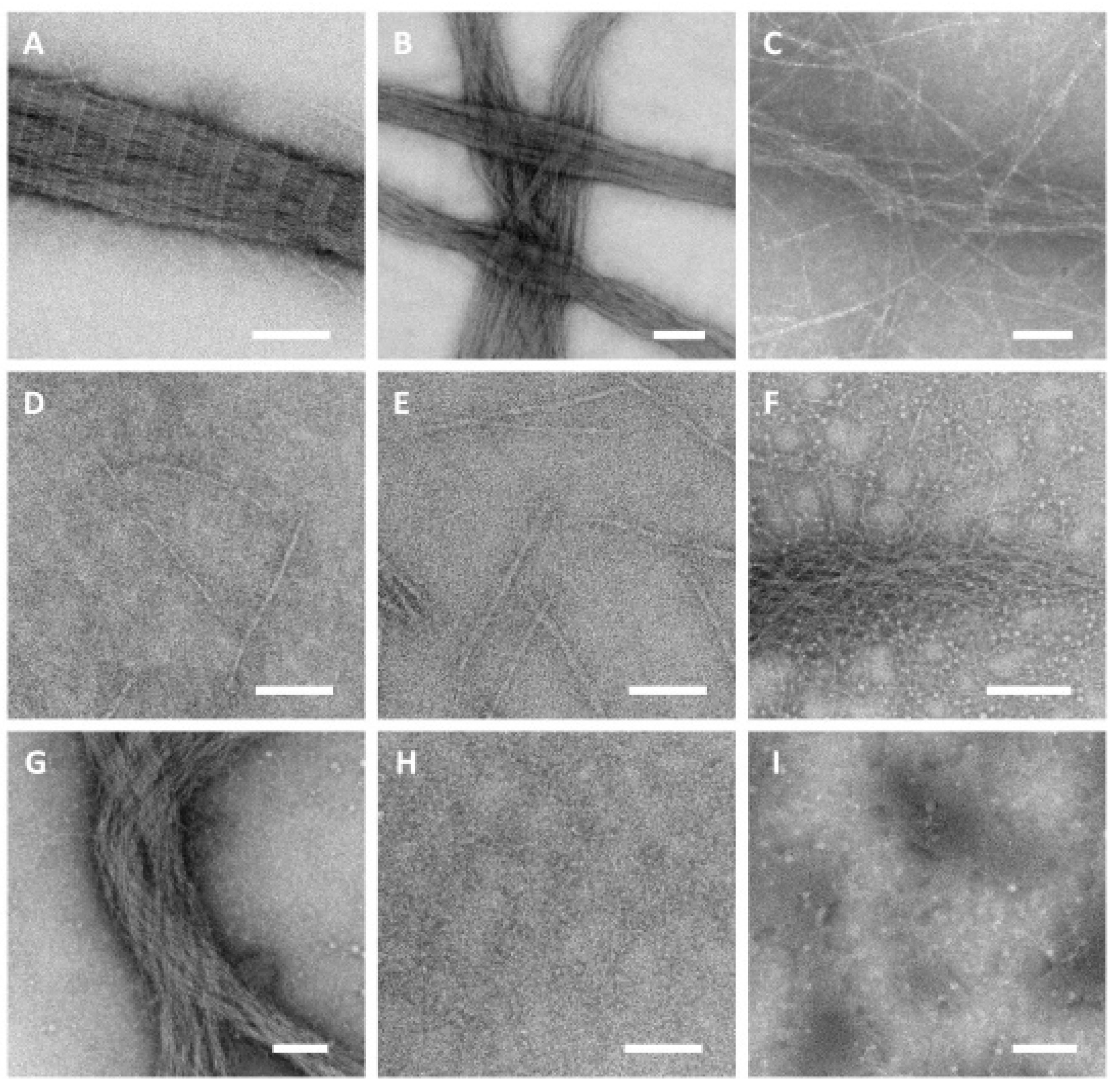 Polymers 14 01775 g006
