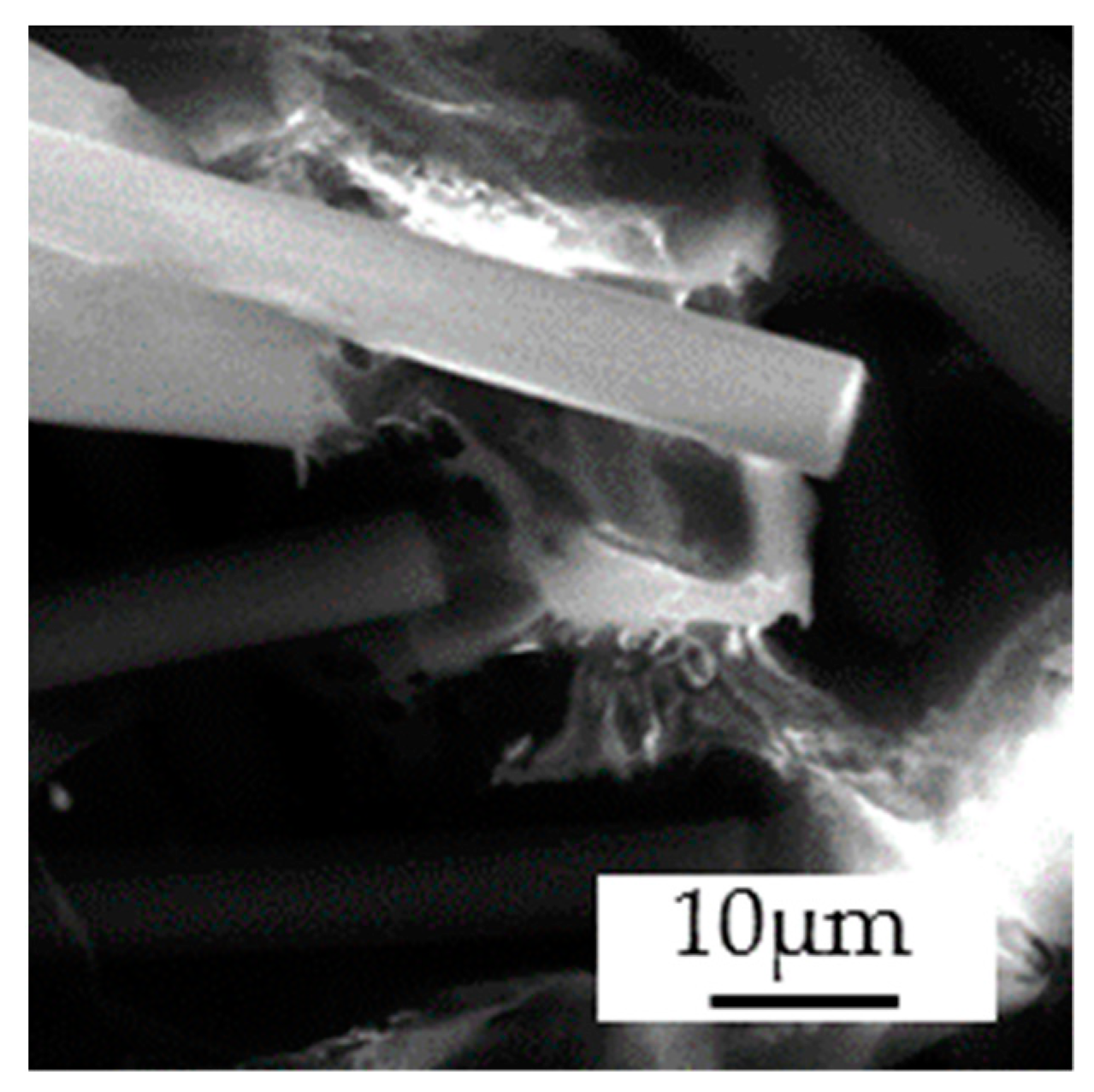 Polymers 14 01781 g005
