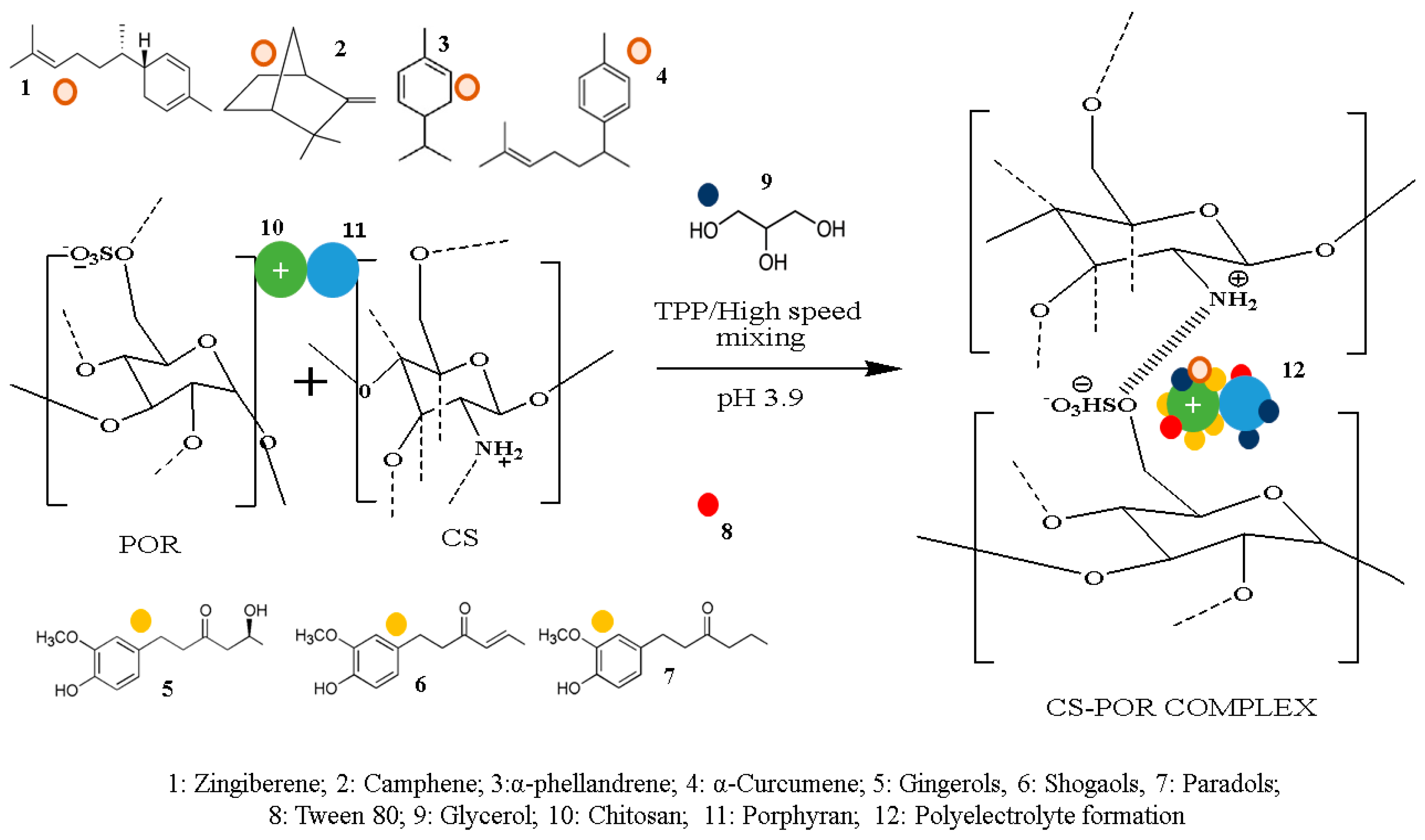 Polymers 14 01782 g001 Polymers 14 01782 g001