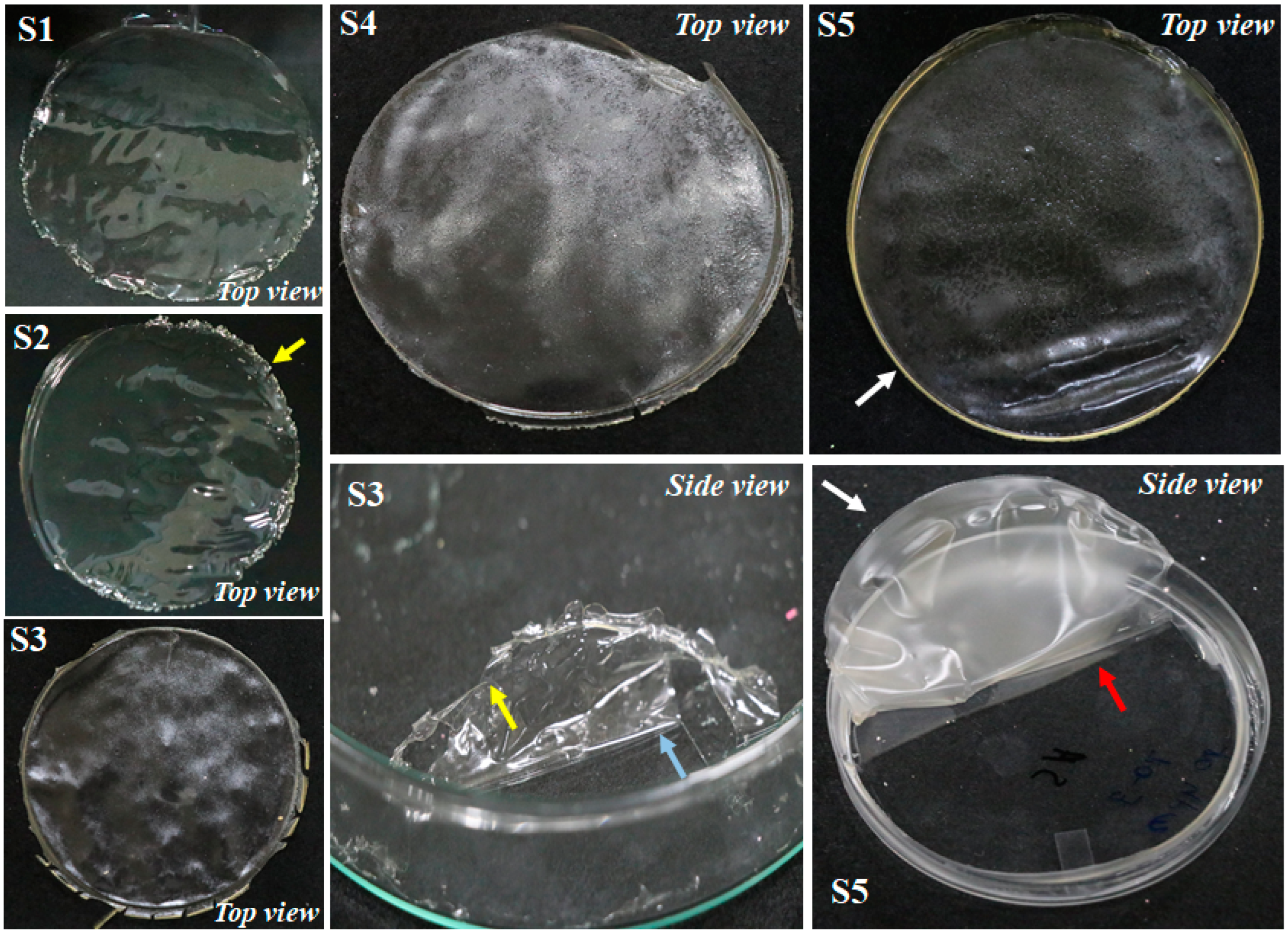 Polymers 14 01782 g002 Polymers 14 01782 g002