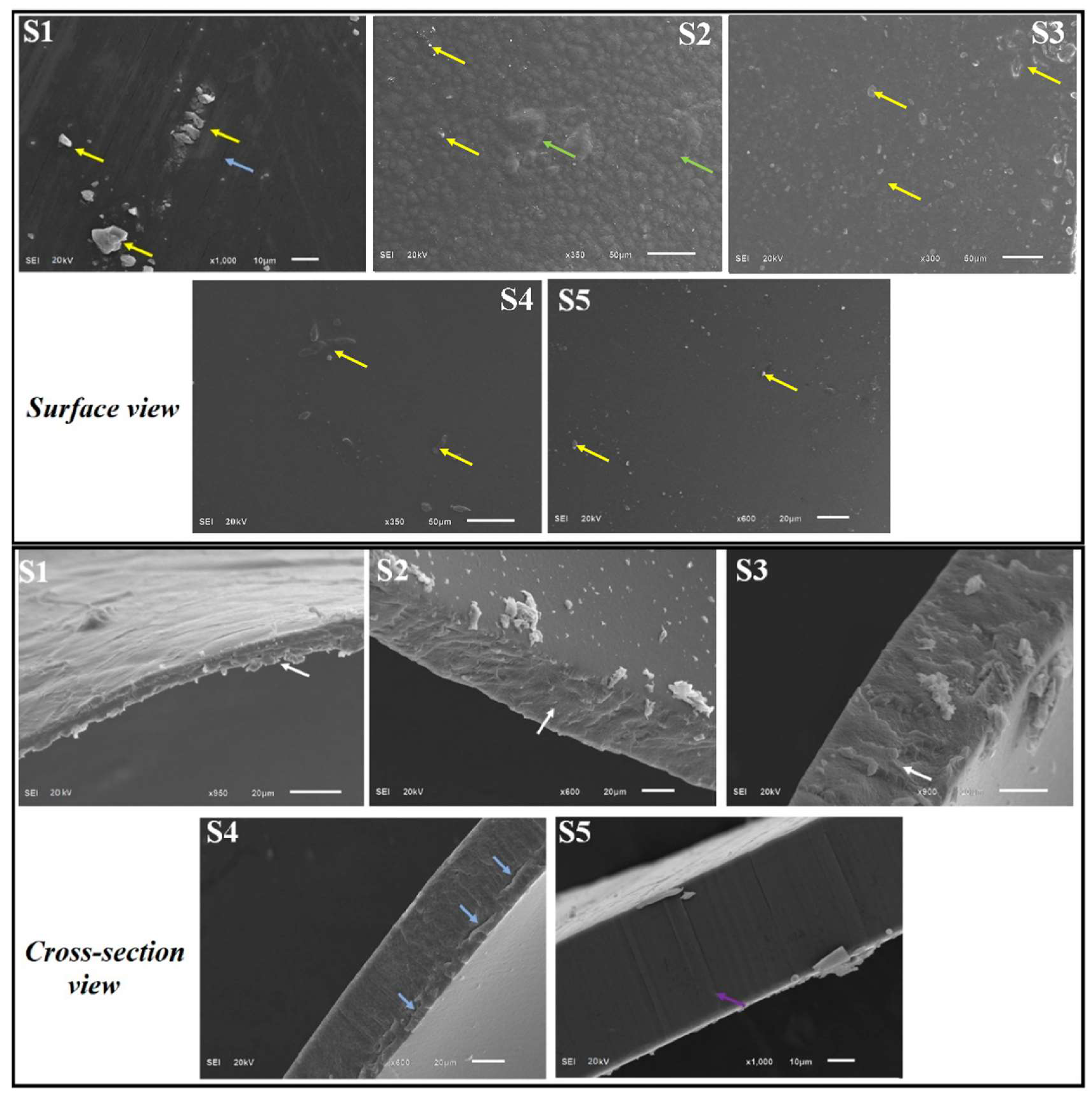 Polymers 14 01782 g005 Polymers 14 01782 g005