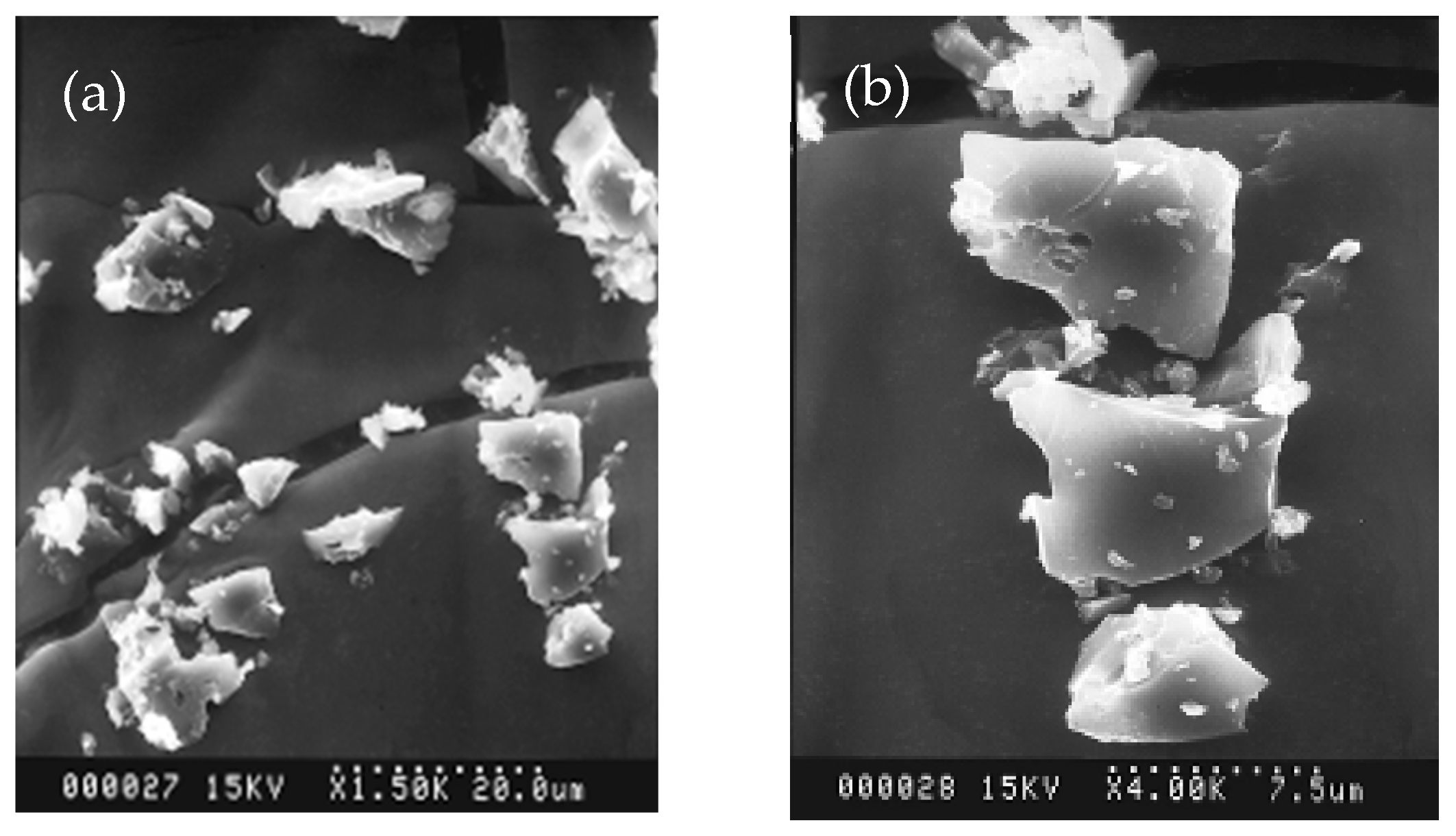 Polymers 14 01794 g001 550