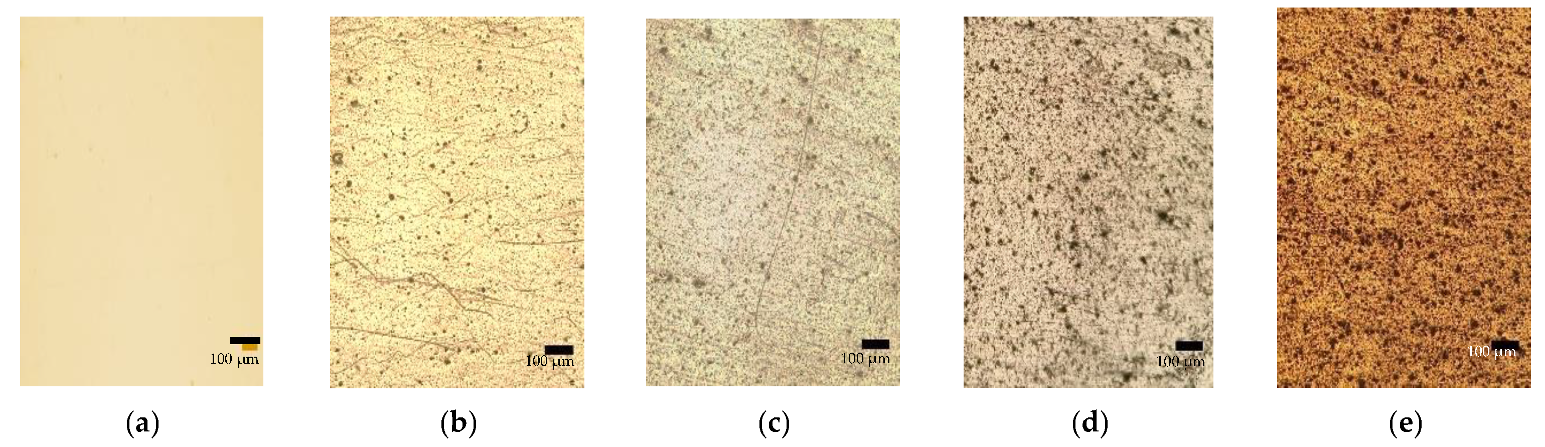 Polymers 14 01794 g002 550