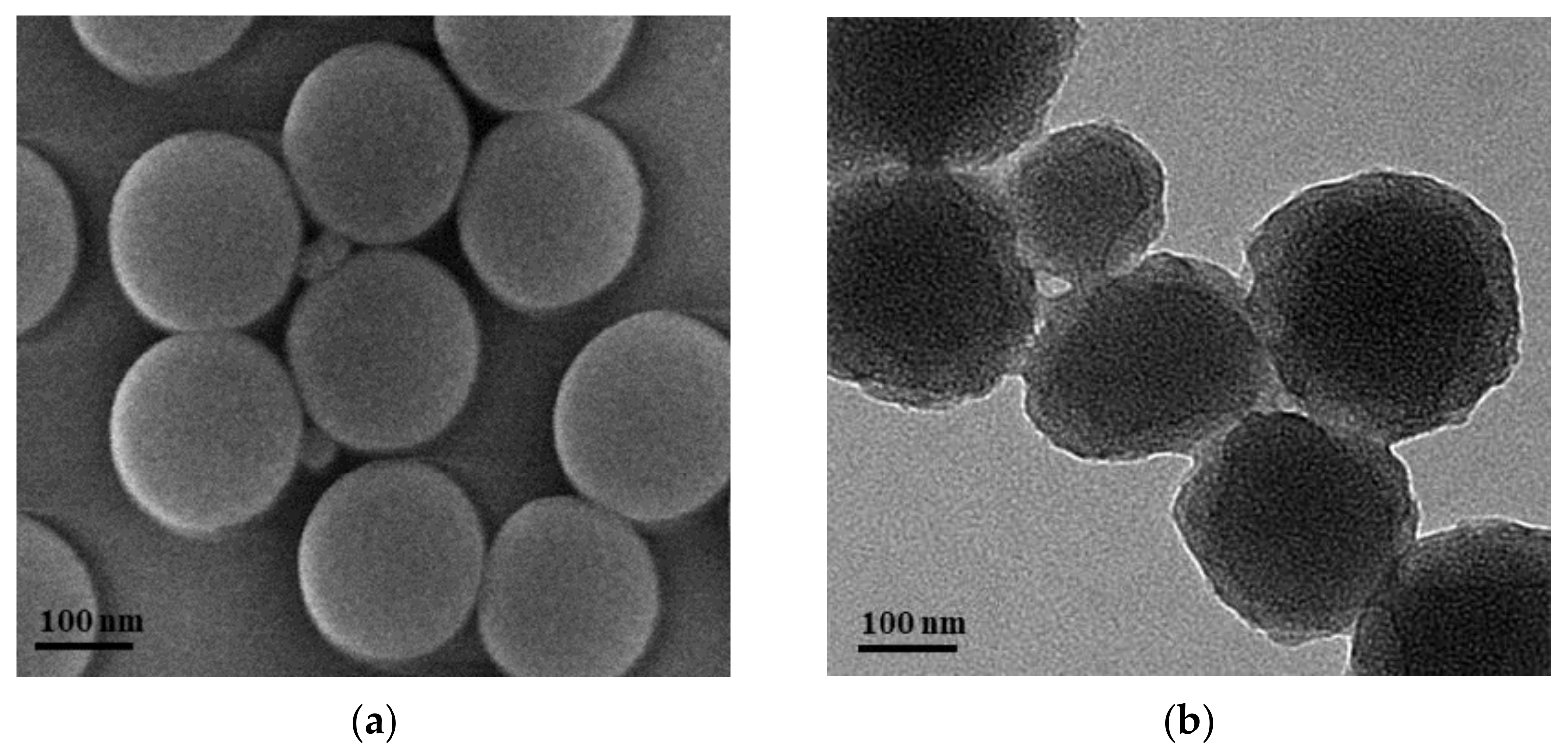 Polymers 14 01803 g007 550