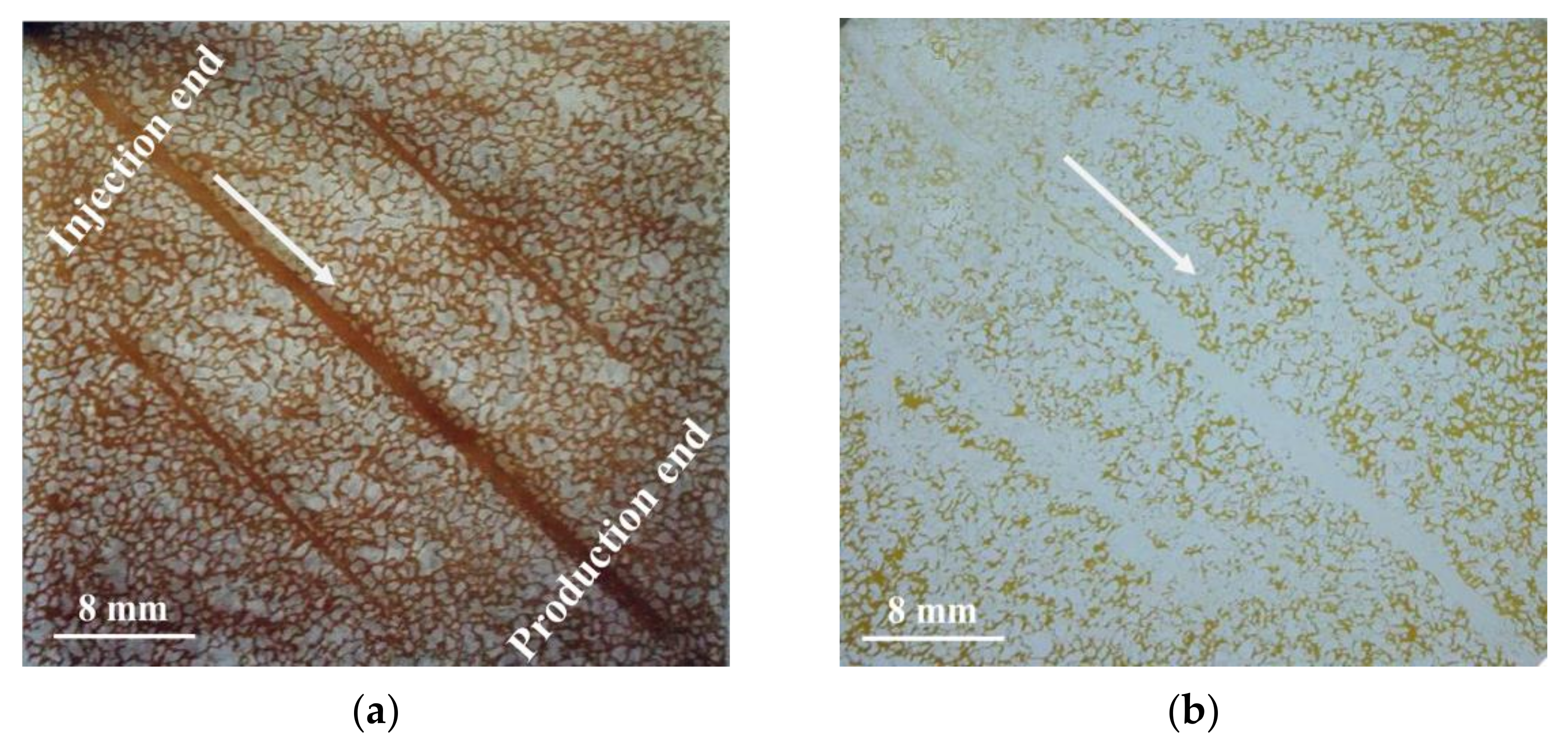 Polymers 14 01803 g013a 550