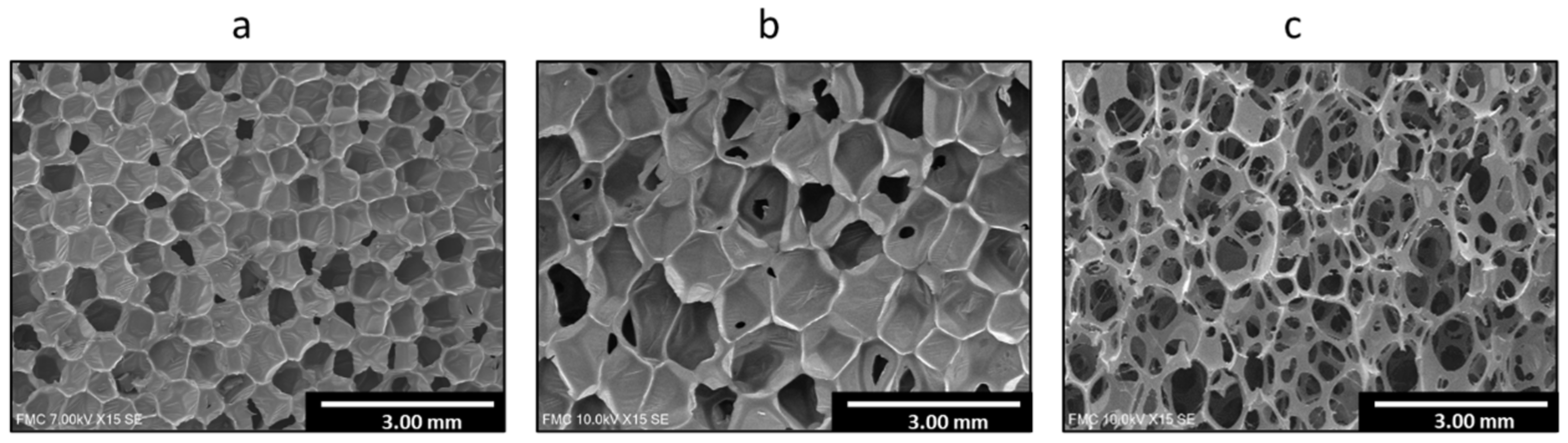 Polymers 14 01807 g001 550