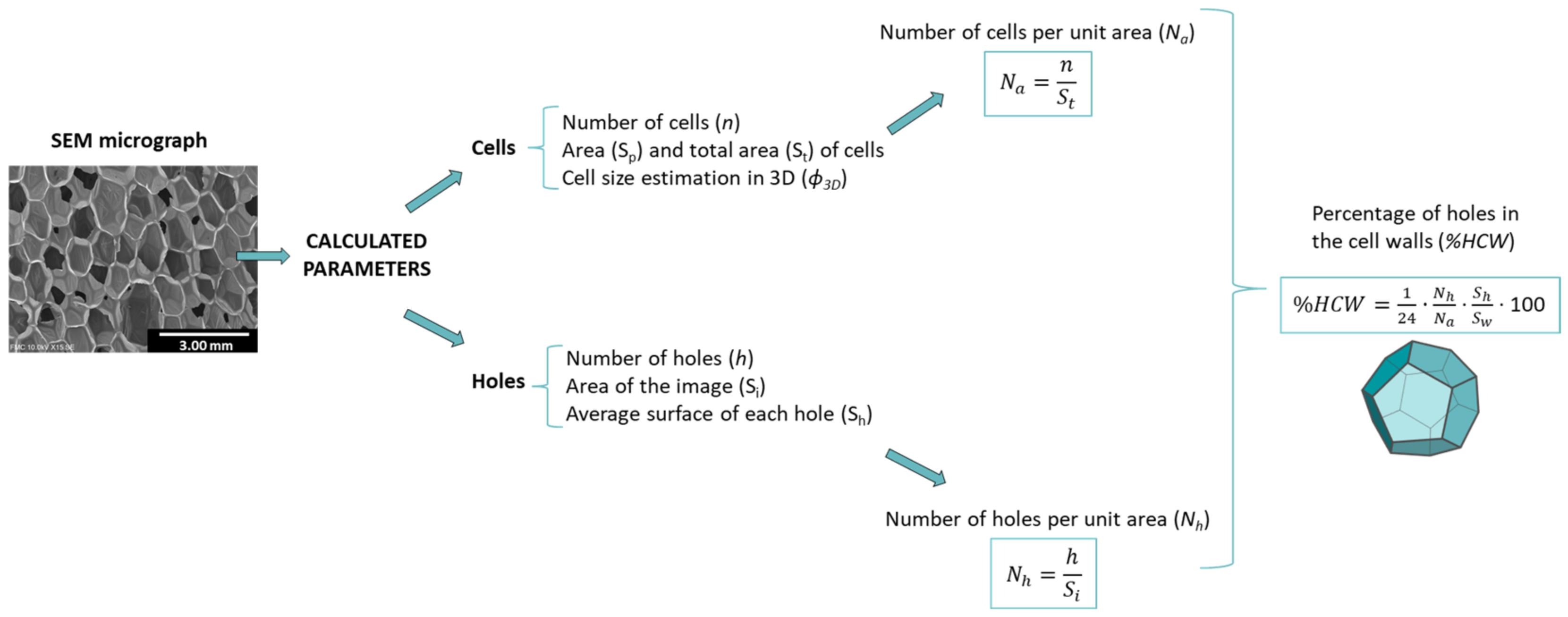 Polymers 14 01807 g002 550