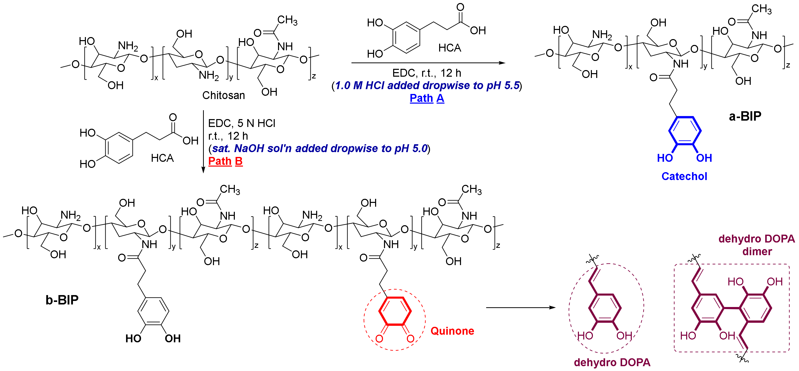 Polymers 14 01808 g001 550