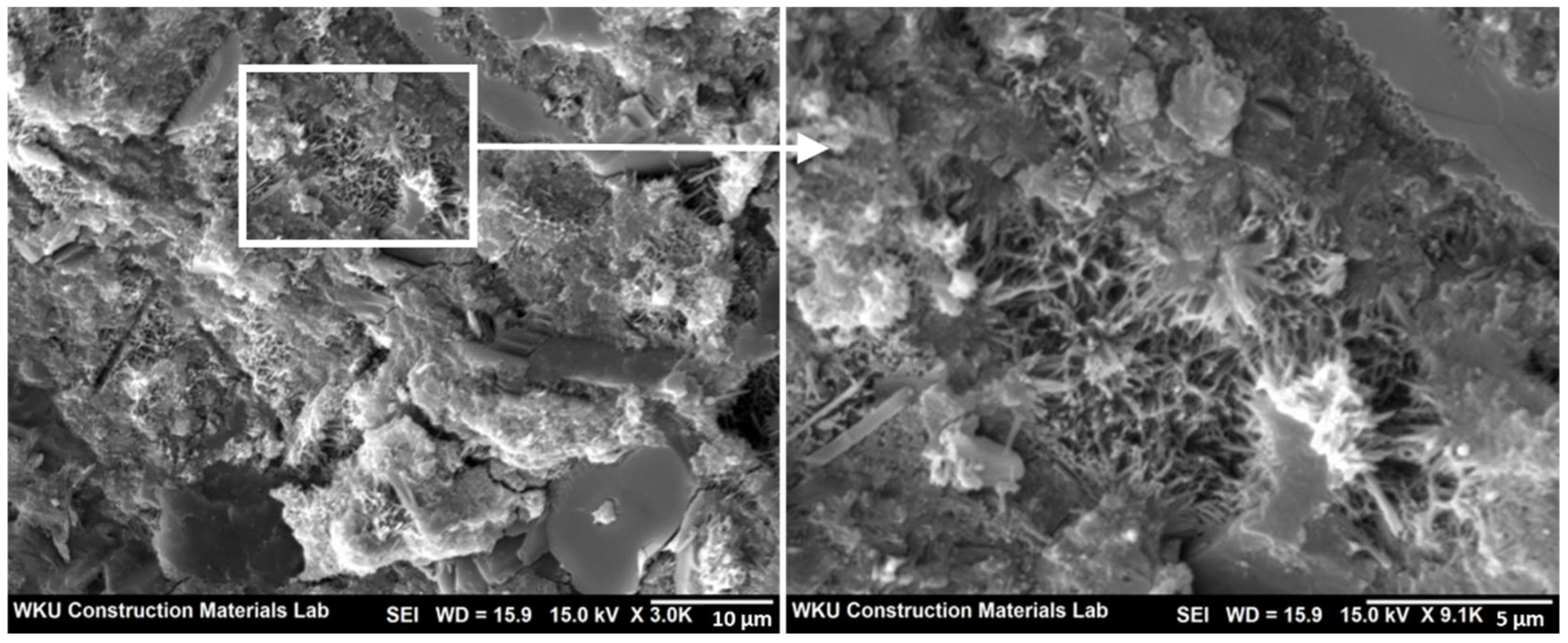 Polymers 14 01808 g009 550