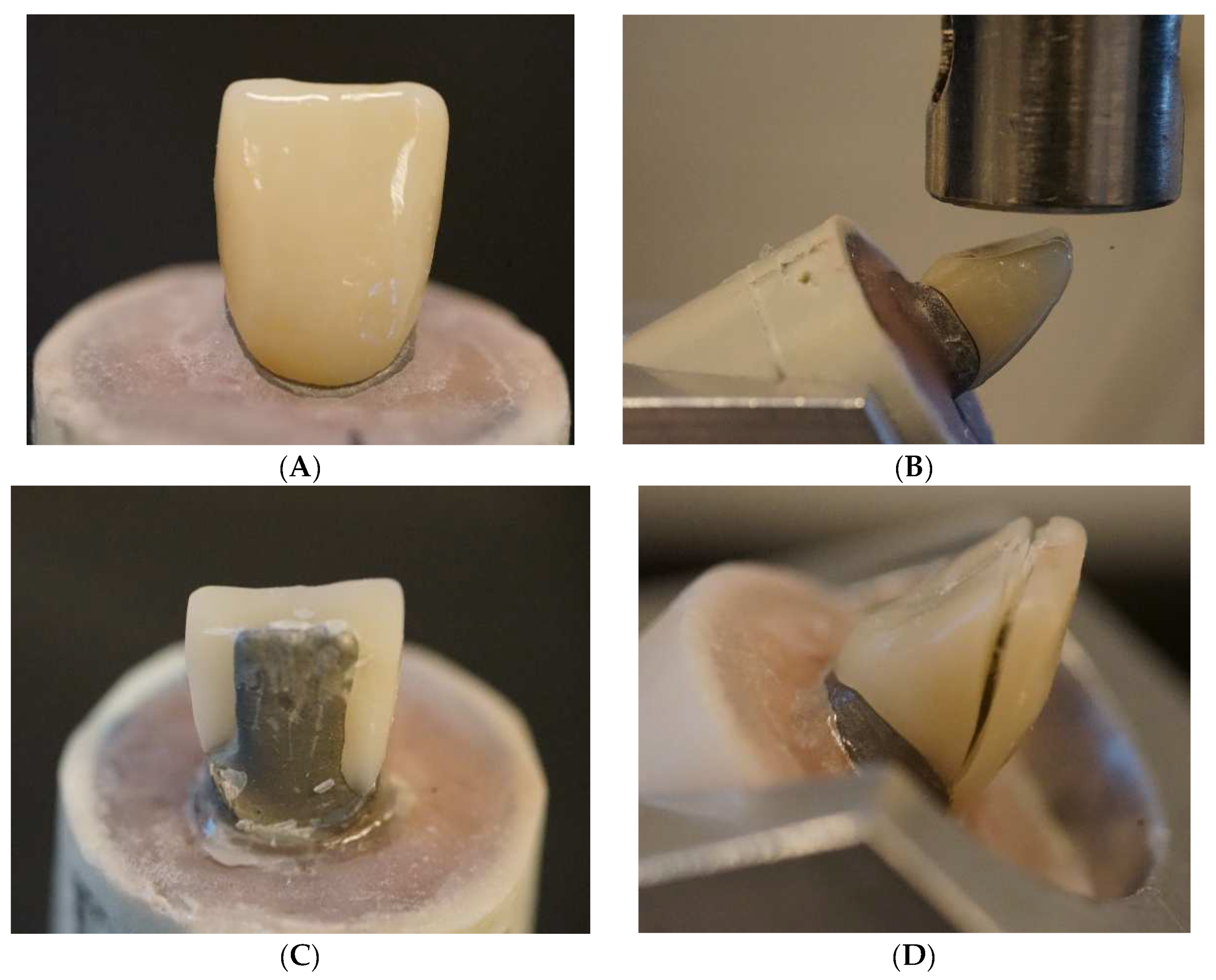 Polymers 14 01809 g001 Polymers 14 01809 g001
