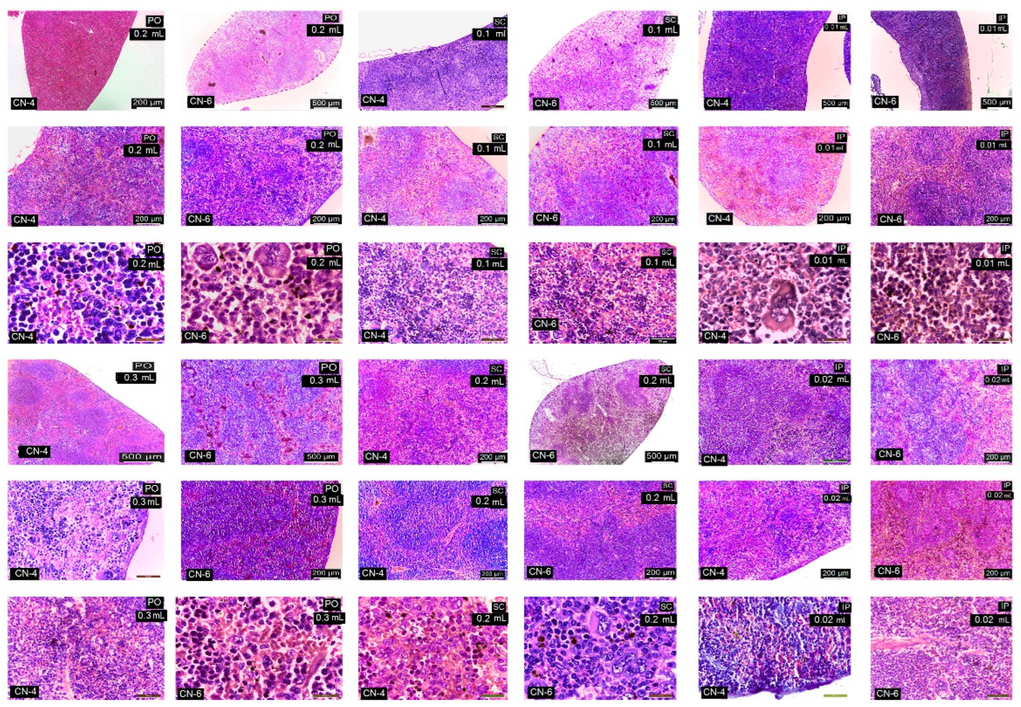 Polymers 14 01811 g014