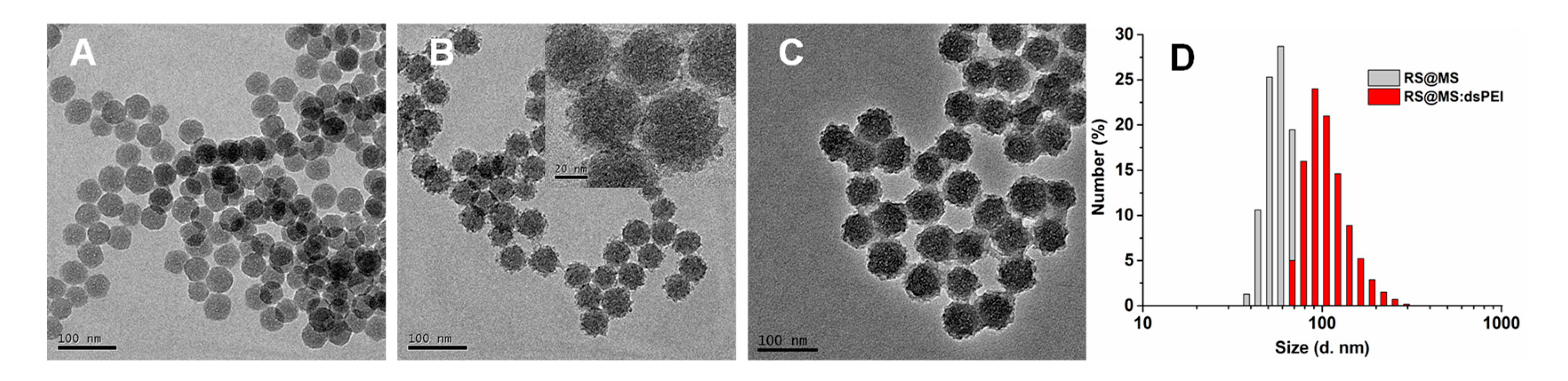Polymers 14 01813 g001