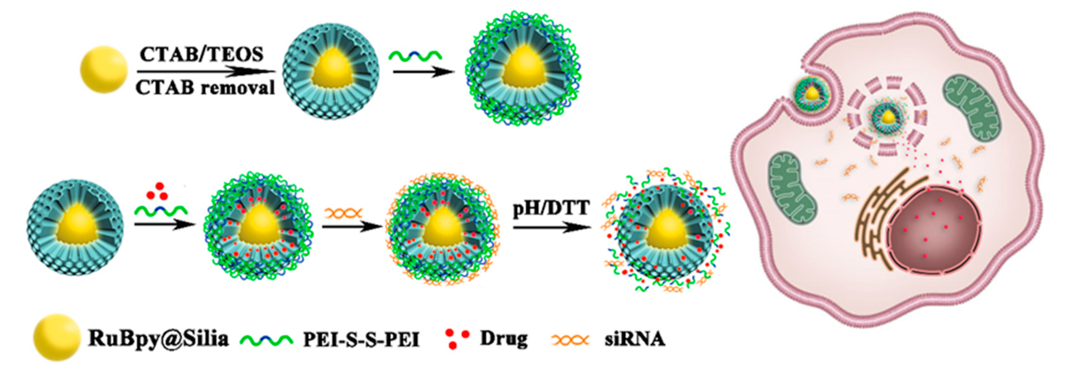 Polymers 14 01813 sch001