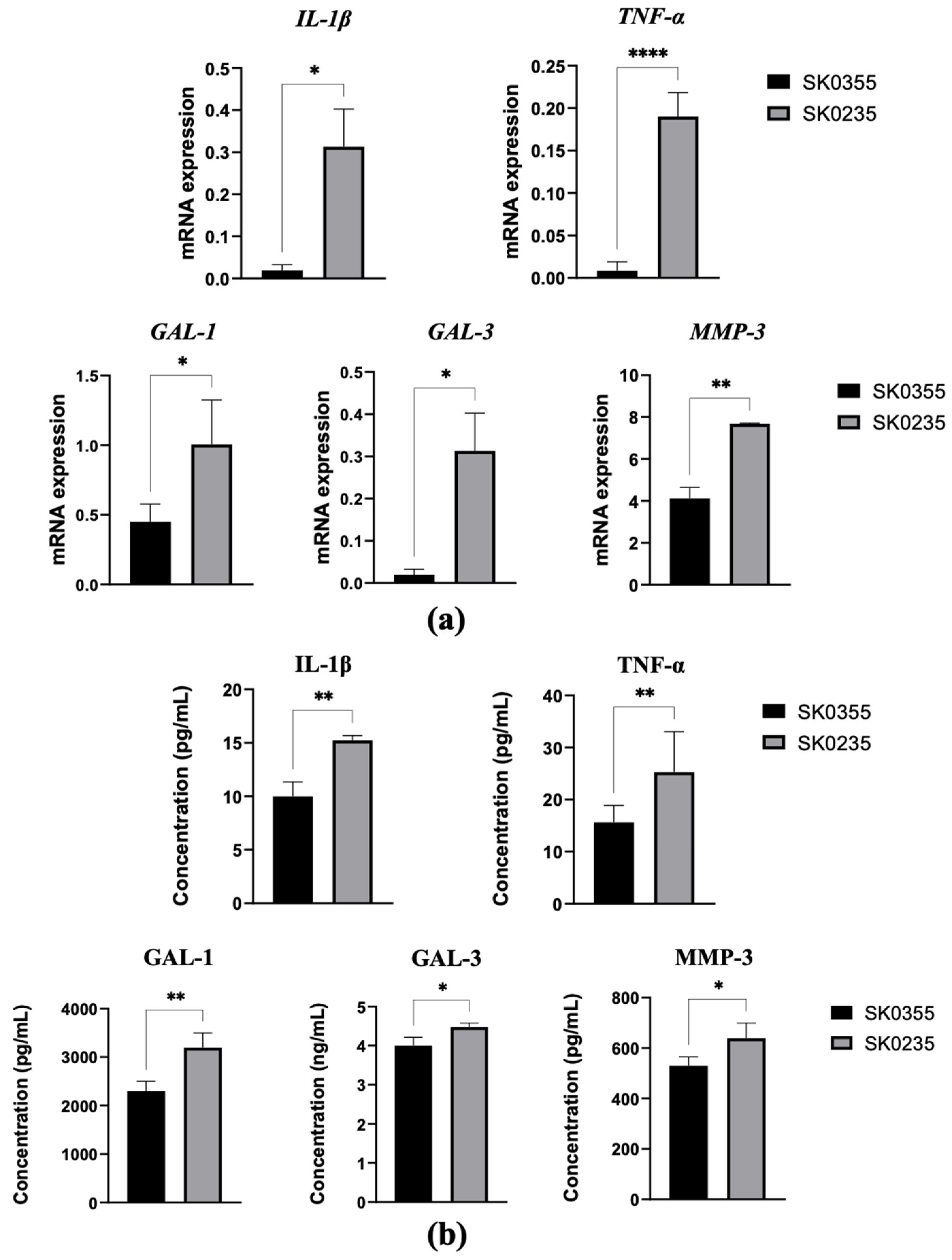Polymers 14 01817 g002