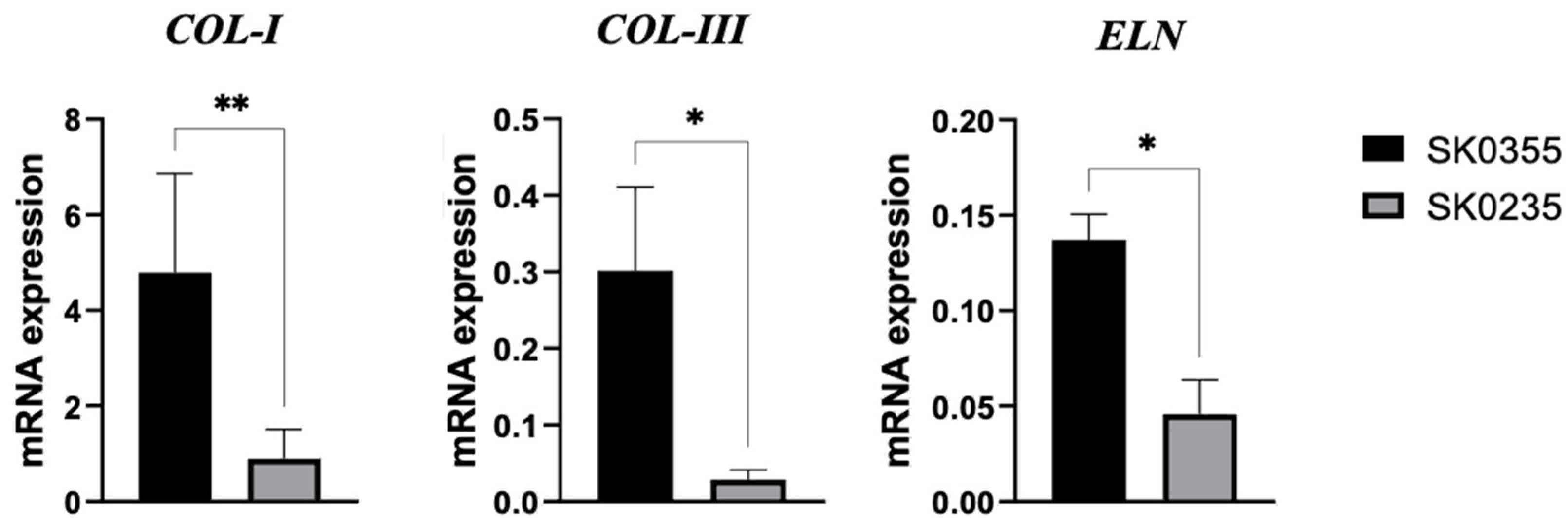 Polymers 14 01817 g003
