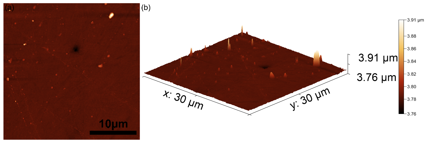 Polymers 14 01821 g004 550