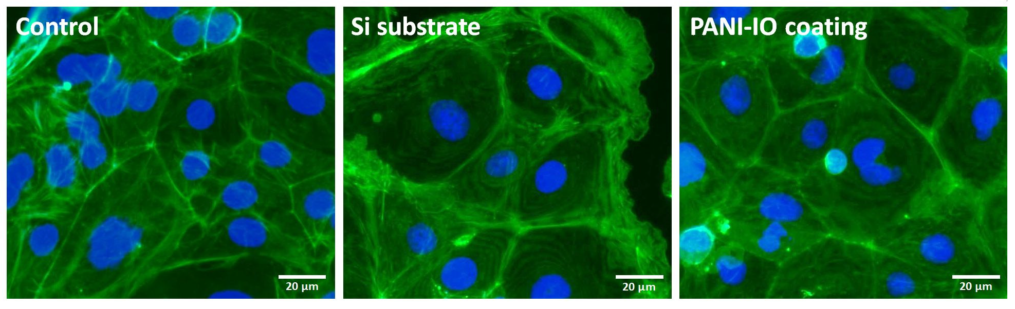 Polymers 14 01821 g009 550