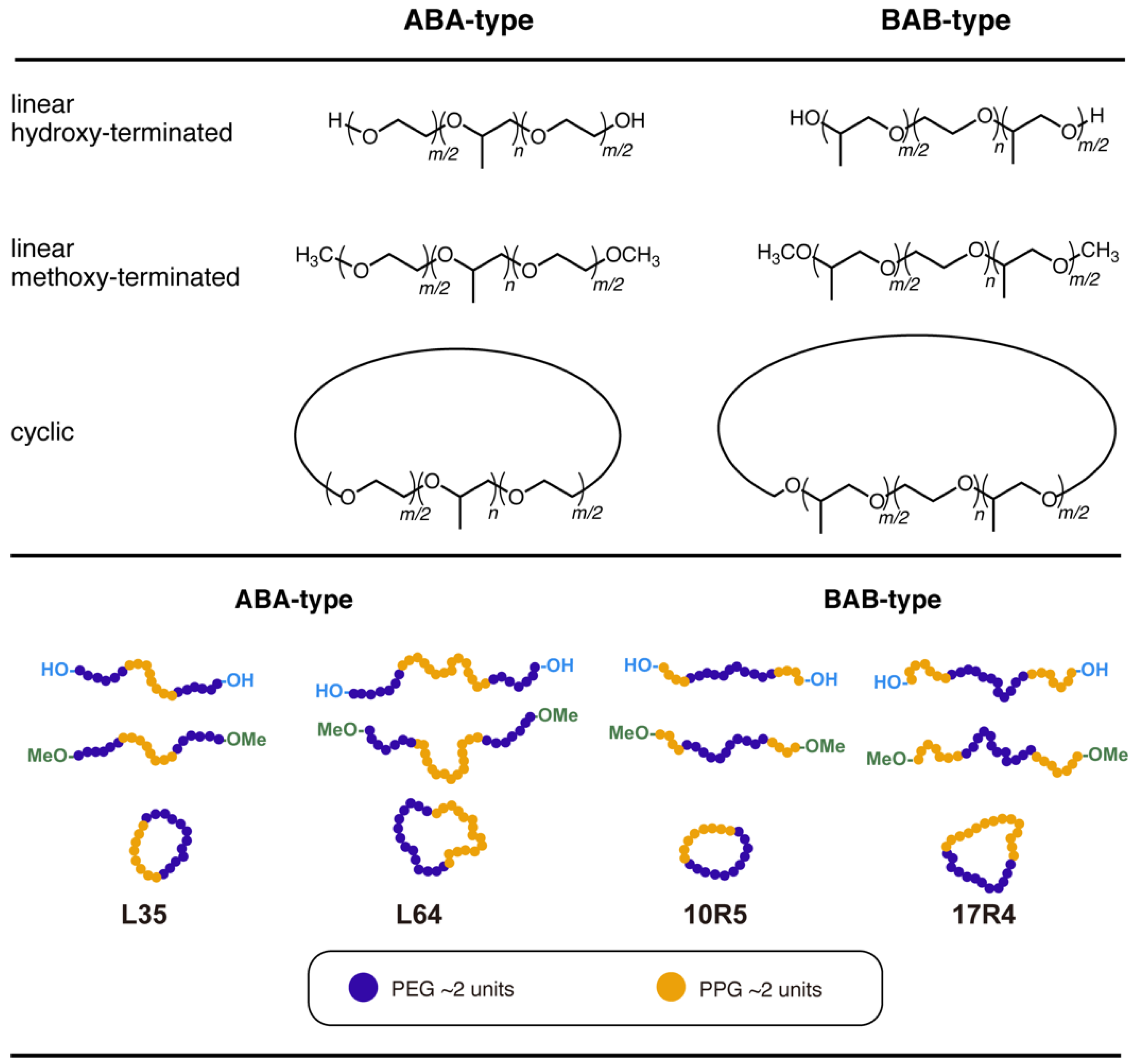Polymers 14 01823 g001
