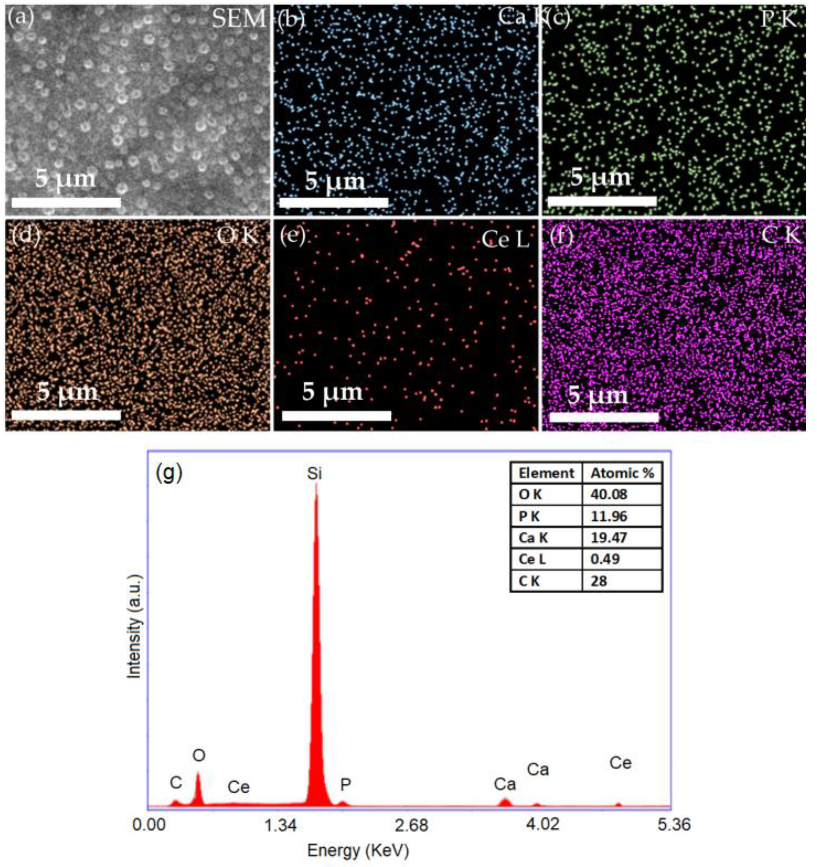 Polymers 14 01826 g005