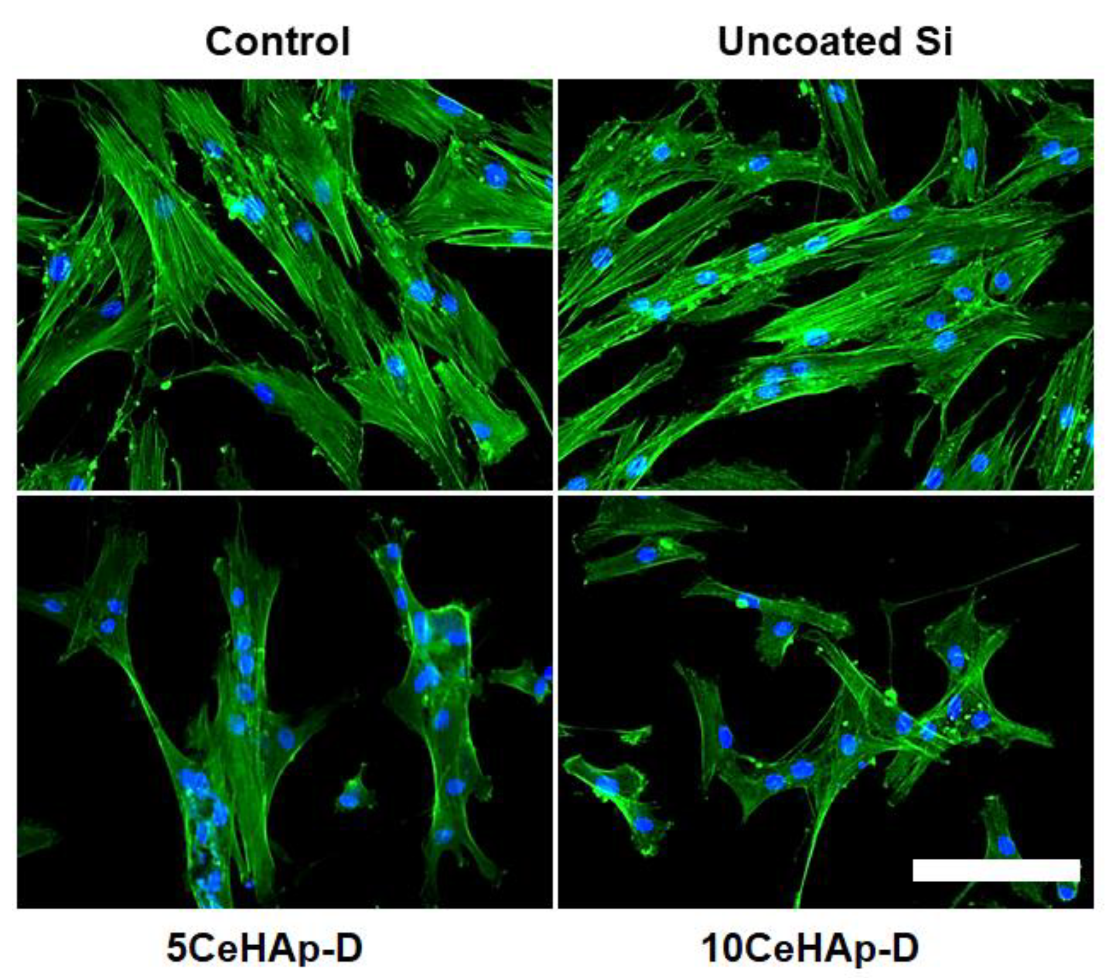 Polymers 14 01826 g013