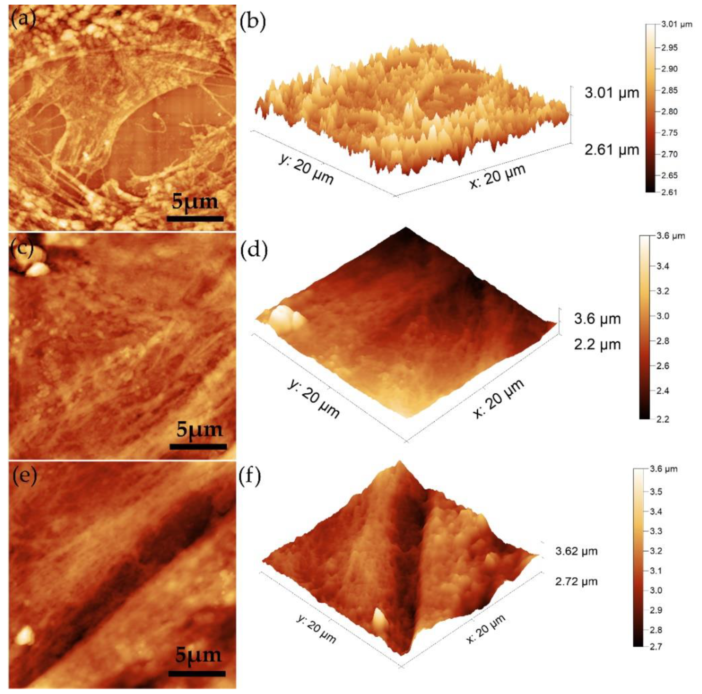 Polymers 14 01826 g014
