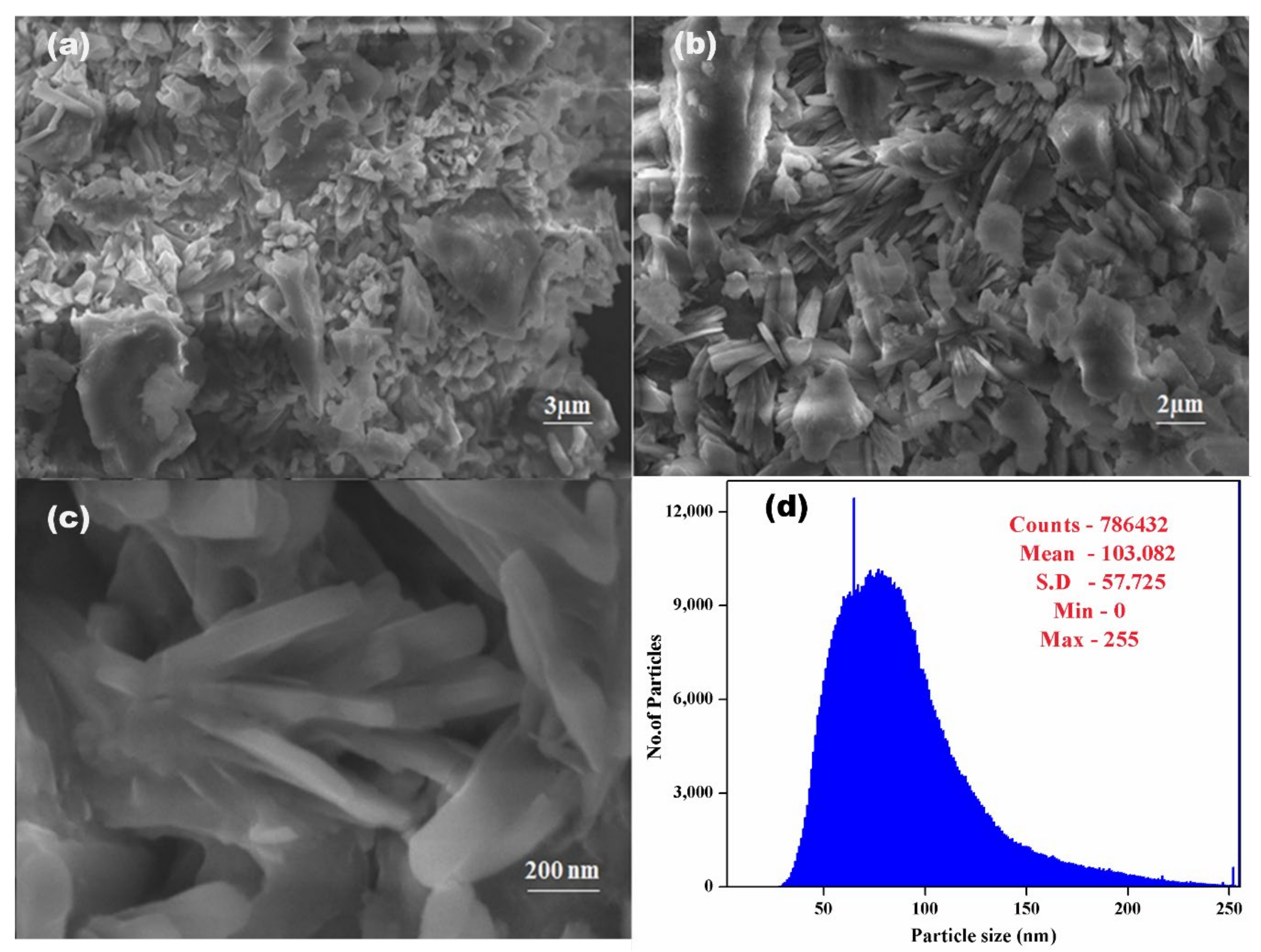 Polymers 14 01827 g004