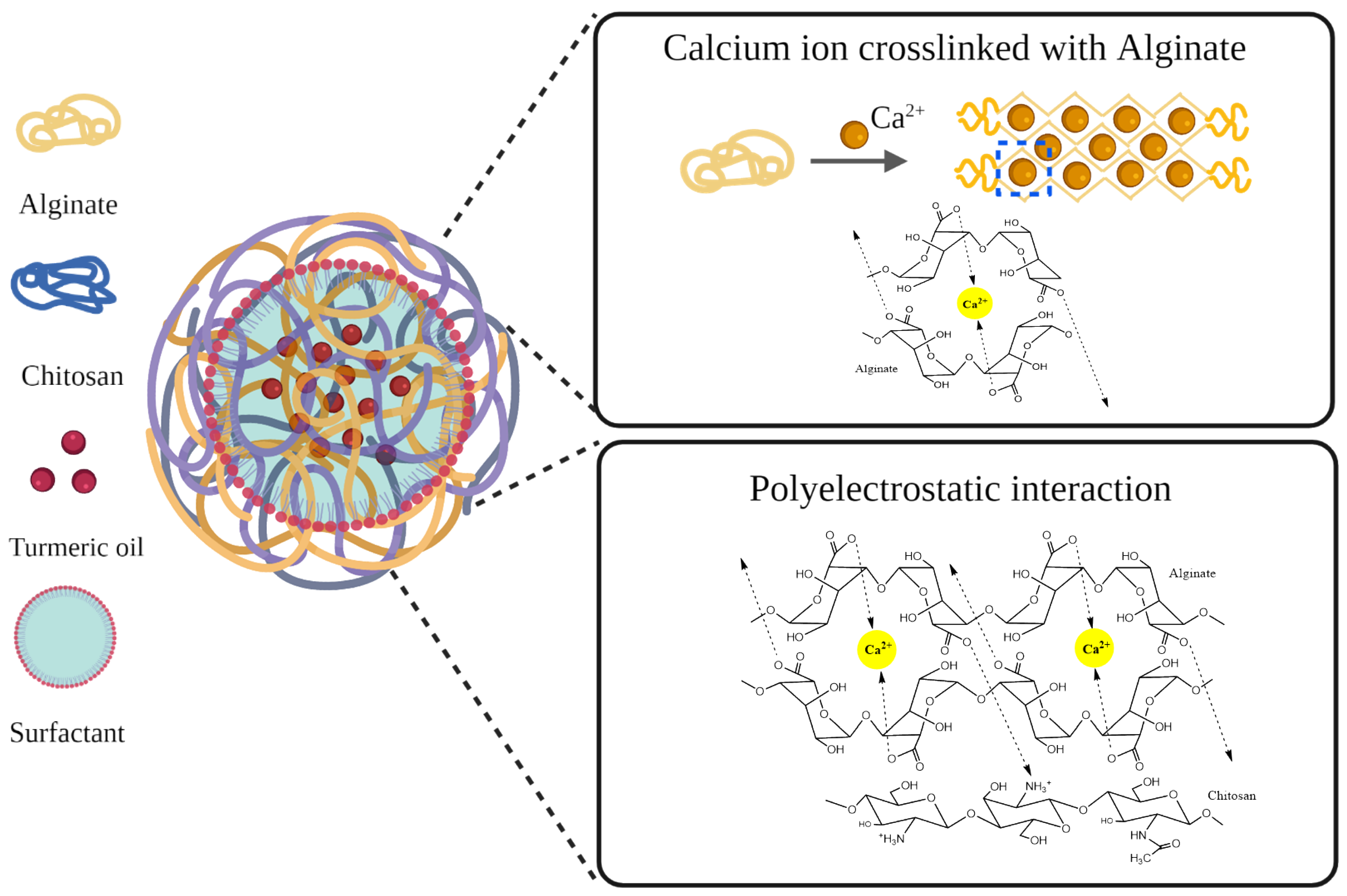 Polymers 14 01835 g001