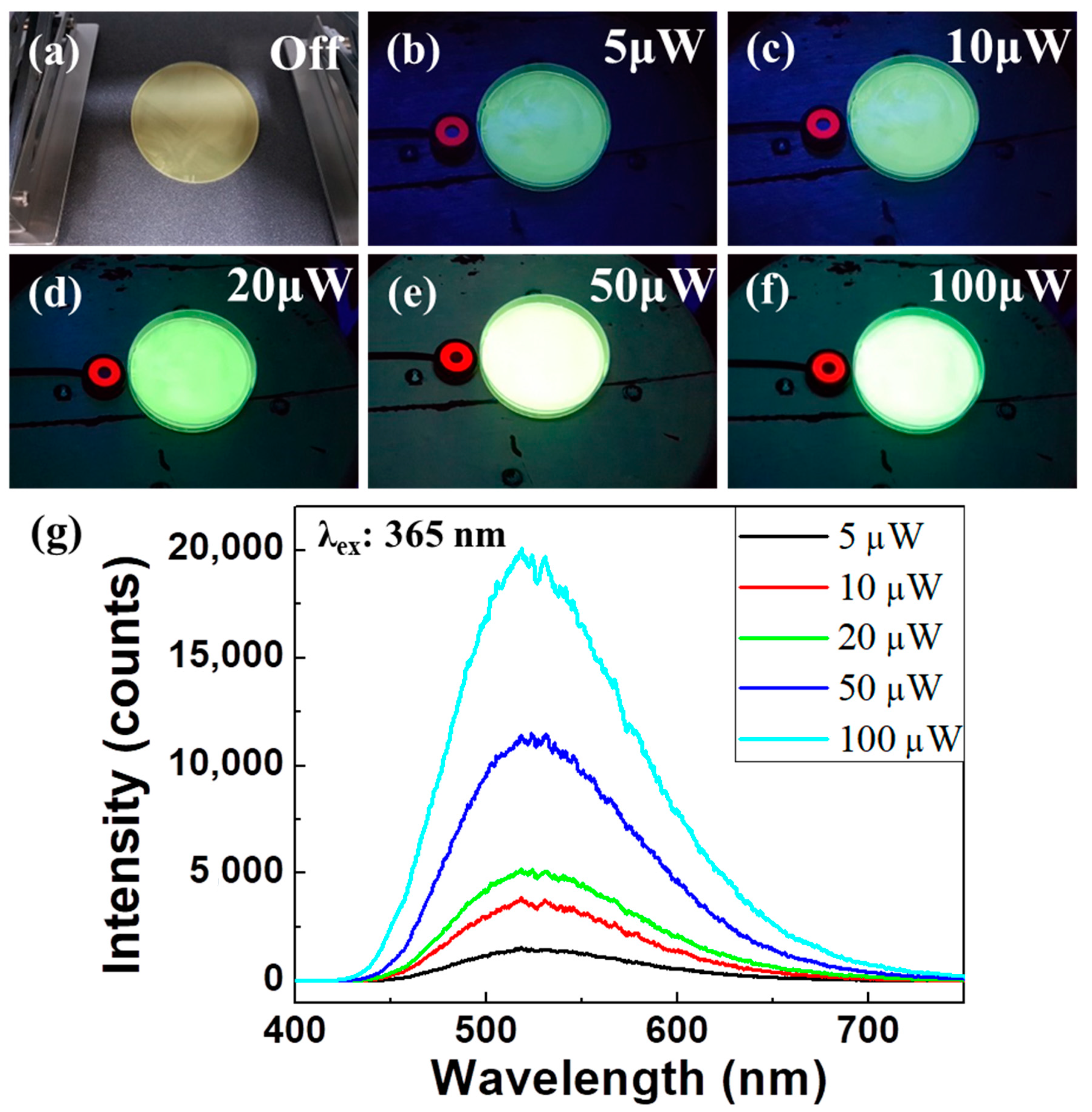 Polymers 14 01846 g003 550