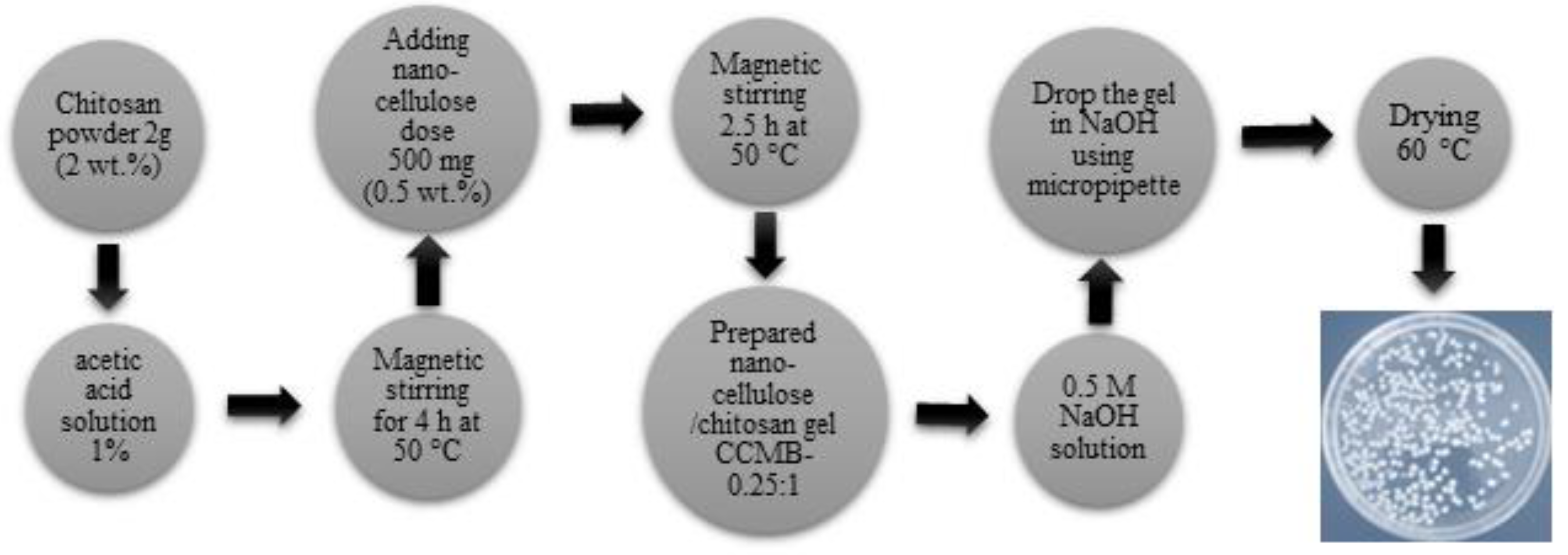 Polymers 14 01852 g003