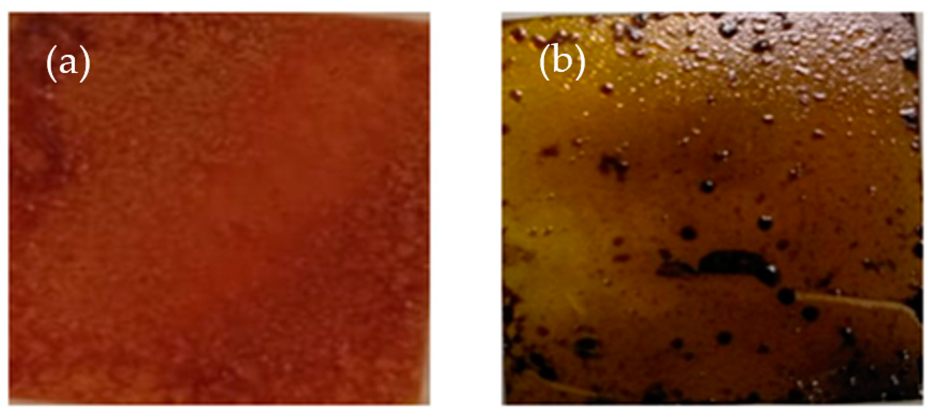 Polymers 14 01853 g002