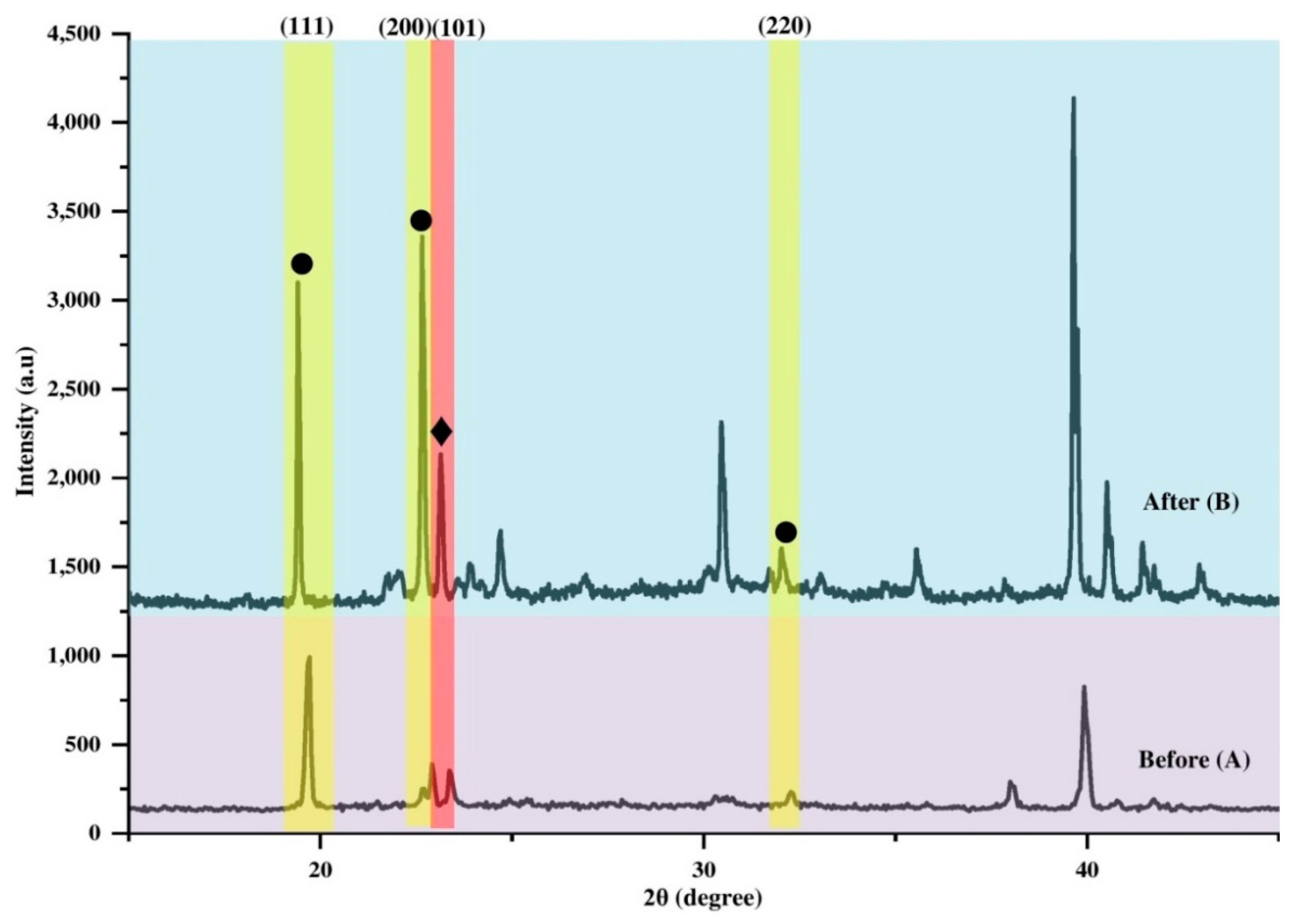 Polymers 14 01853 g012