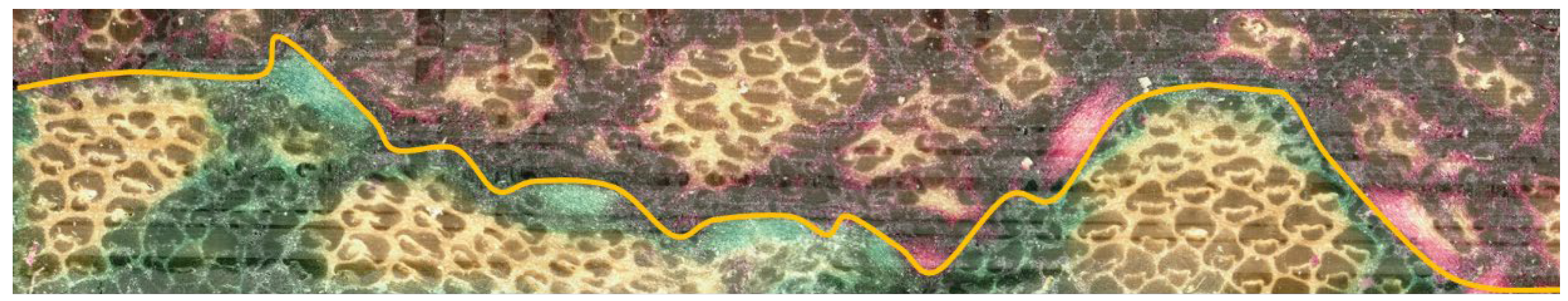 Polymers 14 01856 g003 550
