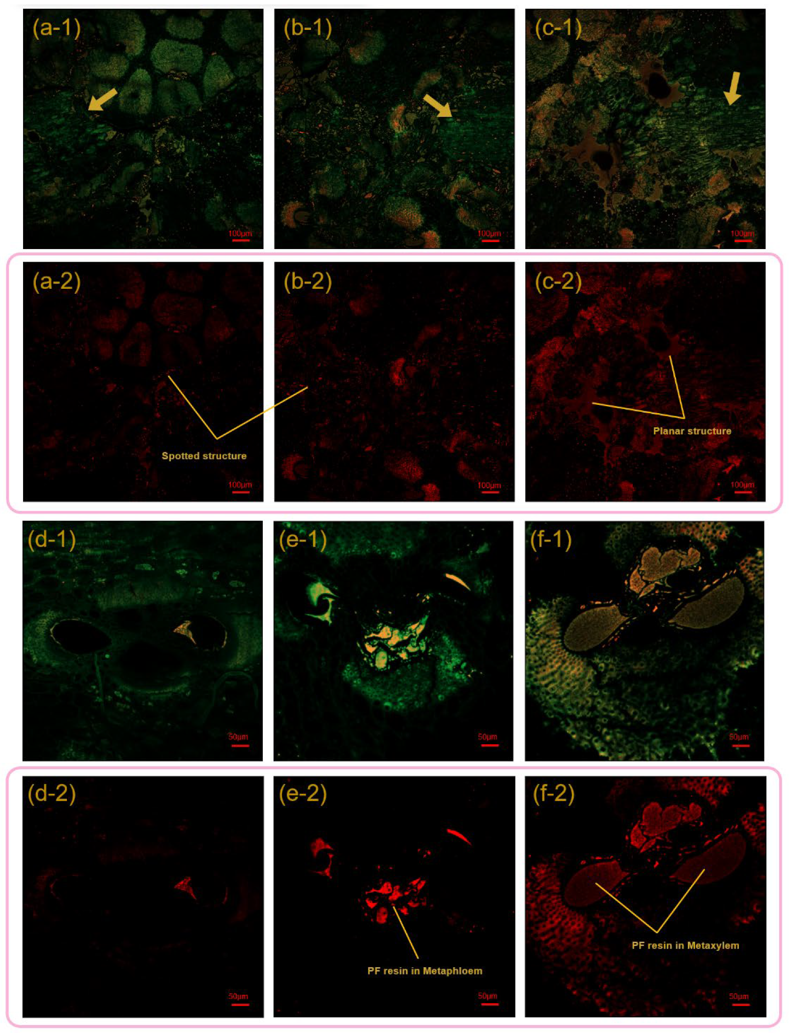 Polymers 14 01856 g004 550